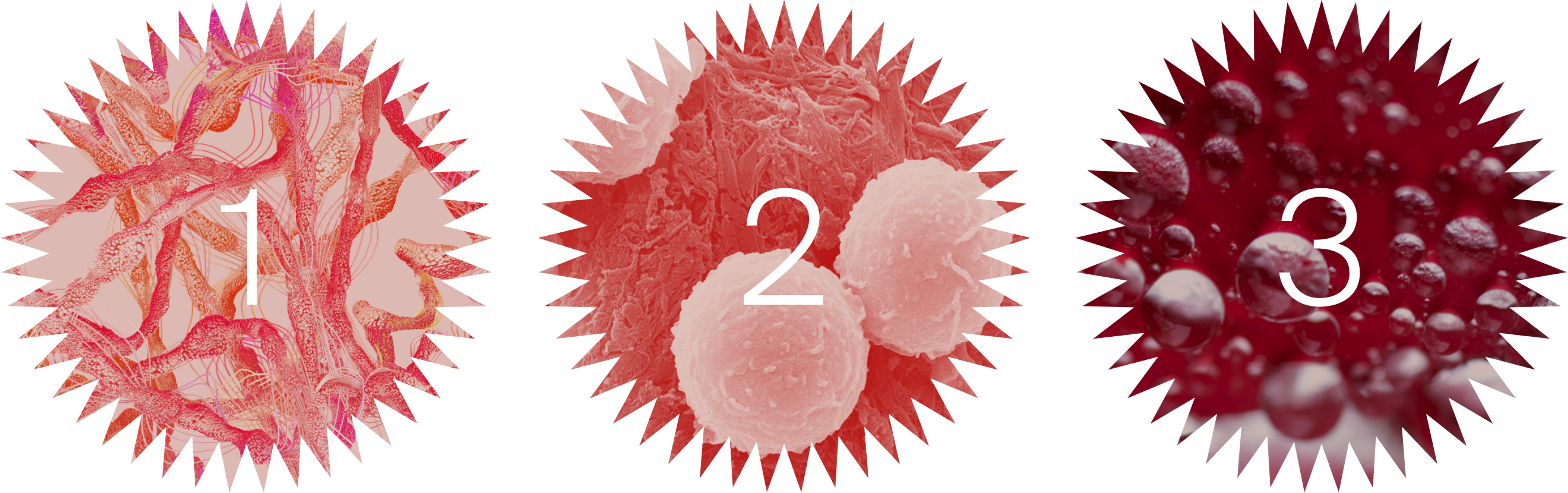 1. C-reactive protein 2. Increased white blood cell count 3. Erythrocyte sedimentation rate