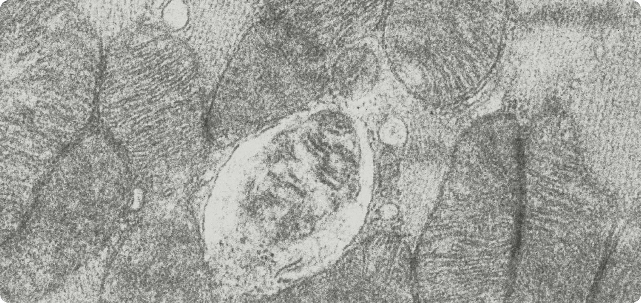 partial reprogramming