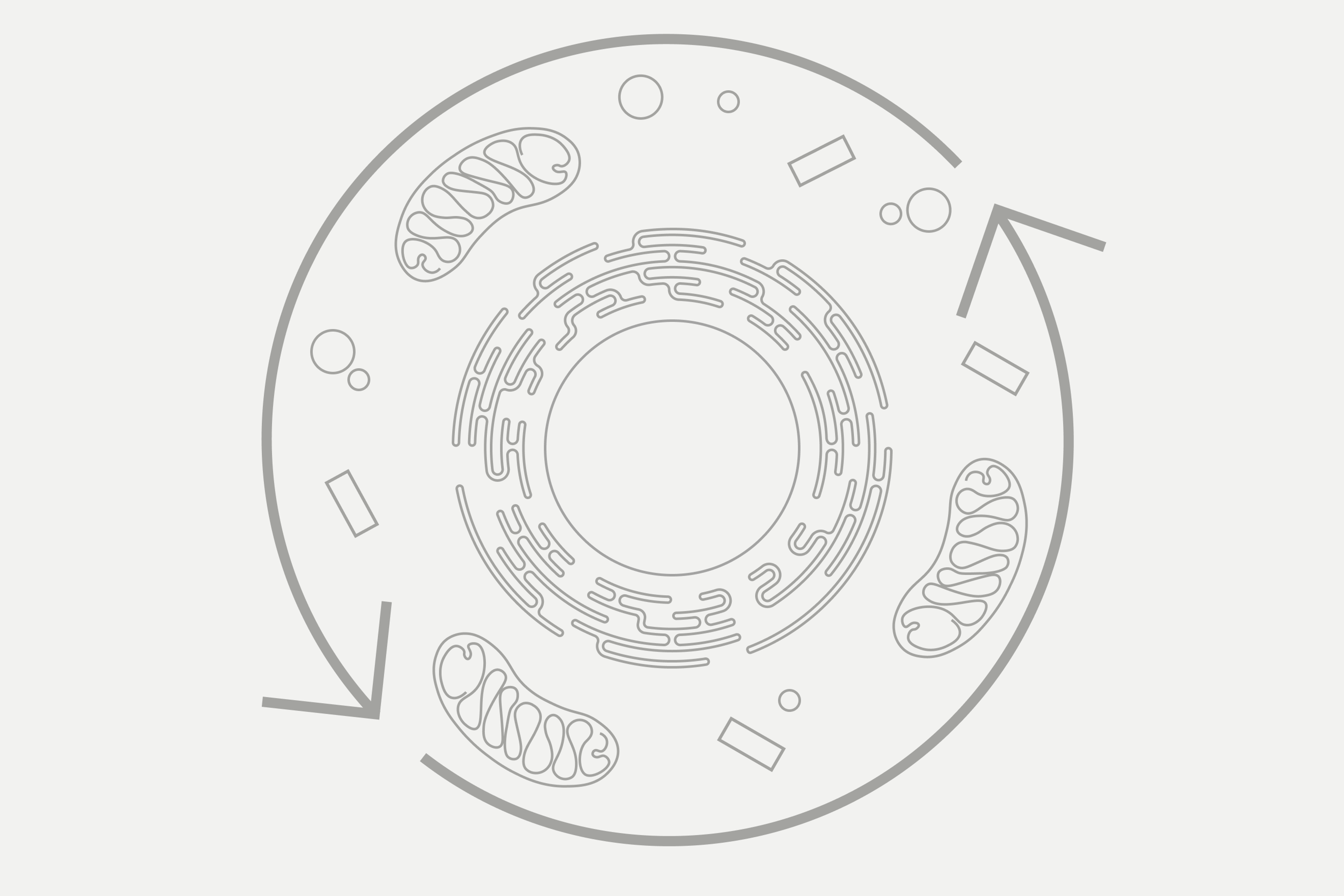 Illustration depicting cellular renewal