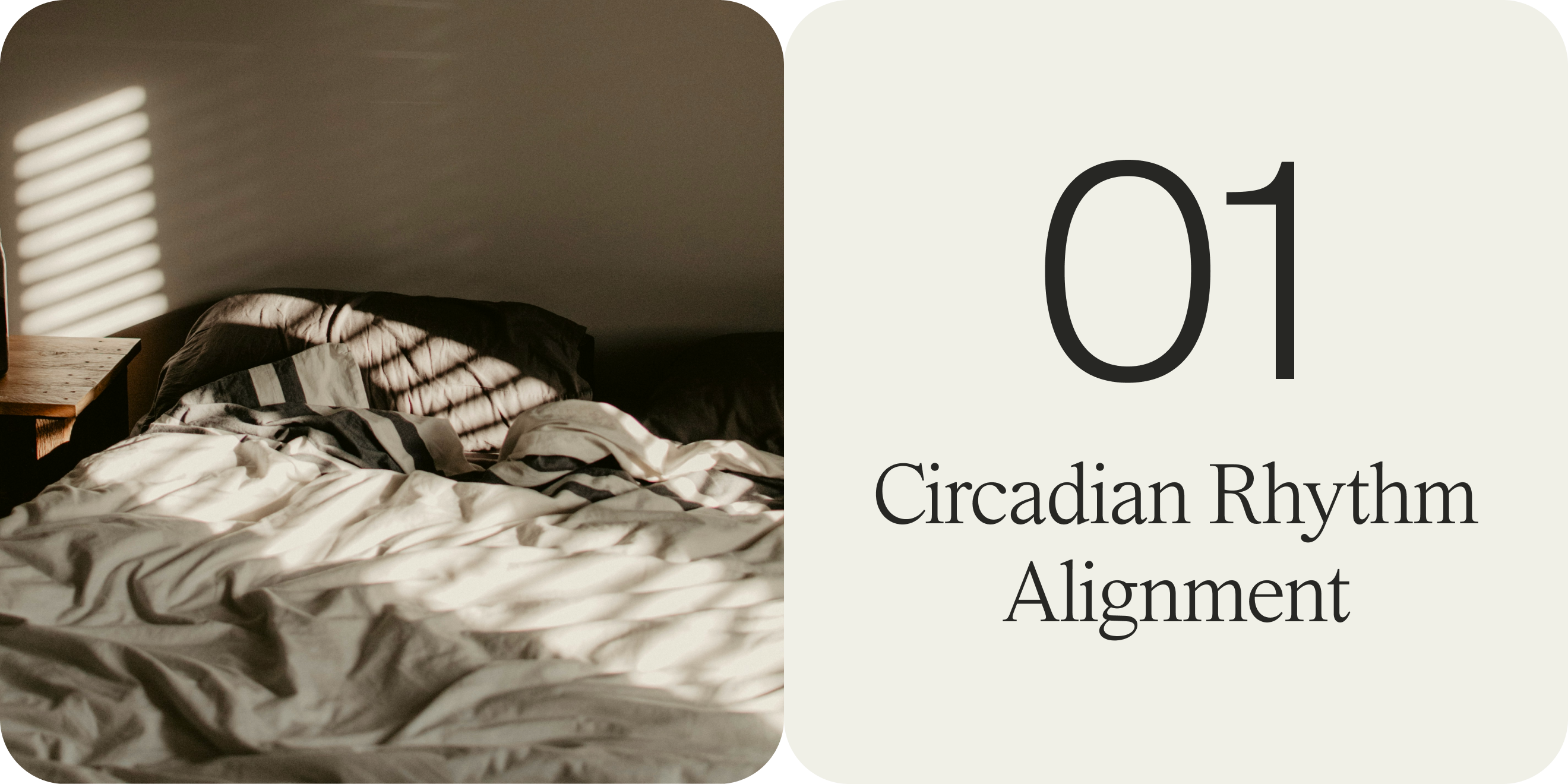 circadian rhythm alignment