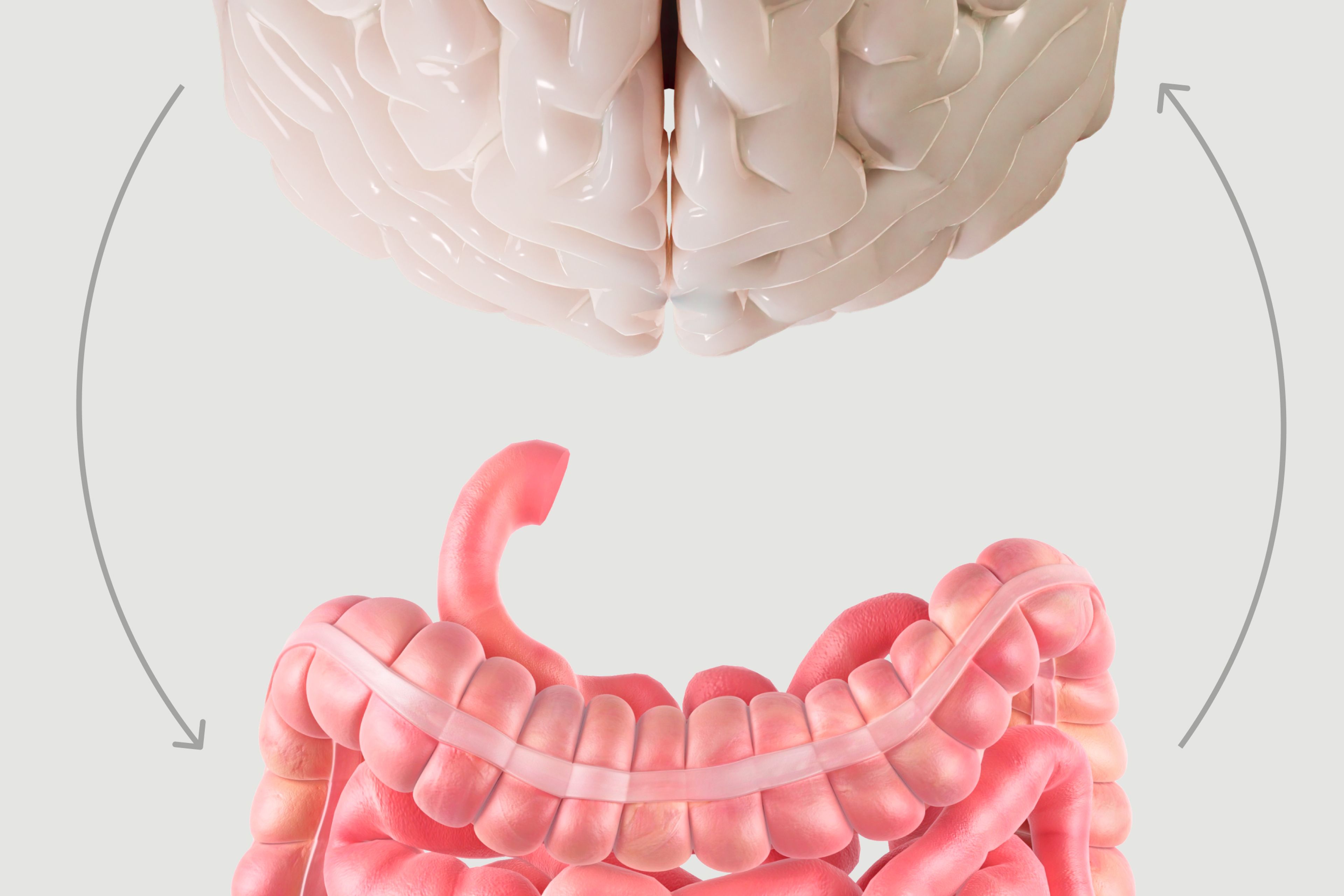 The Brain & Gut connection