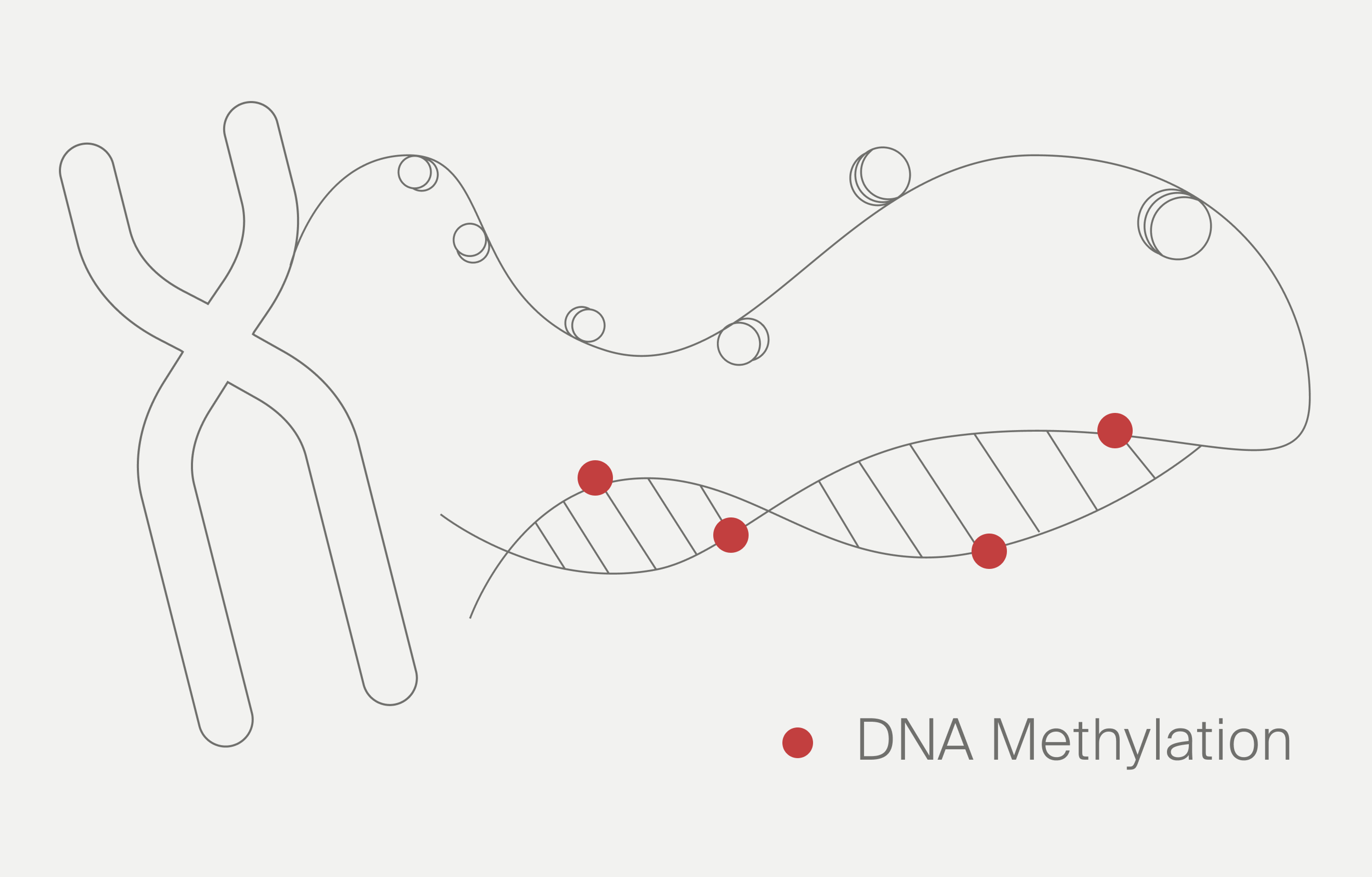 Dna Methylation