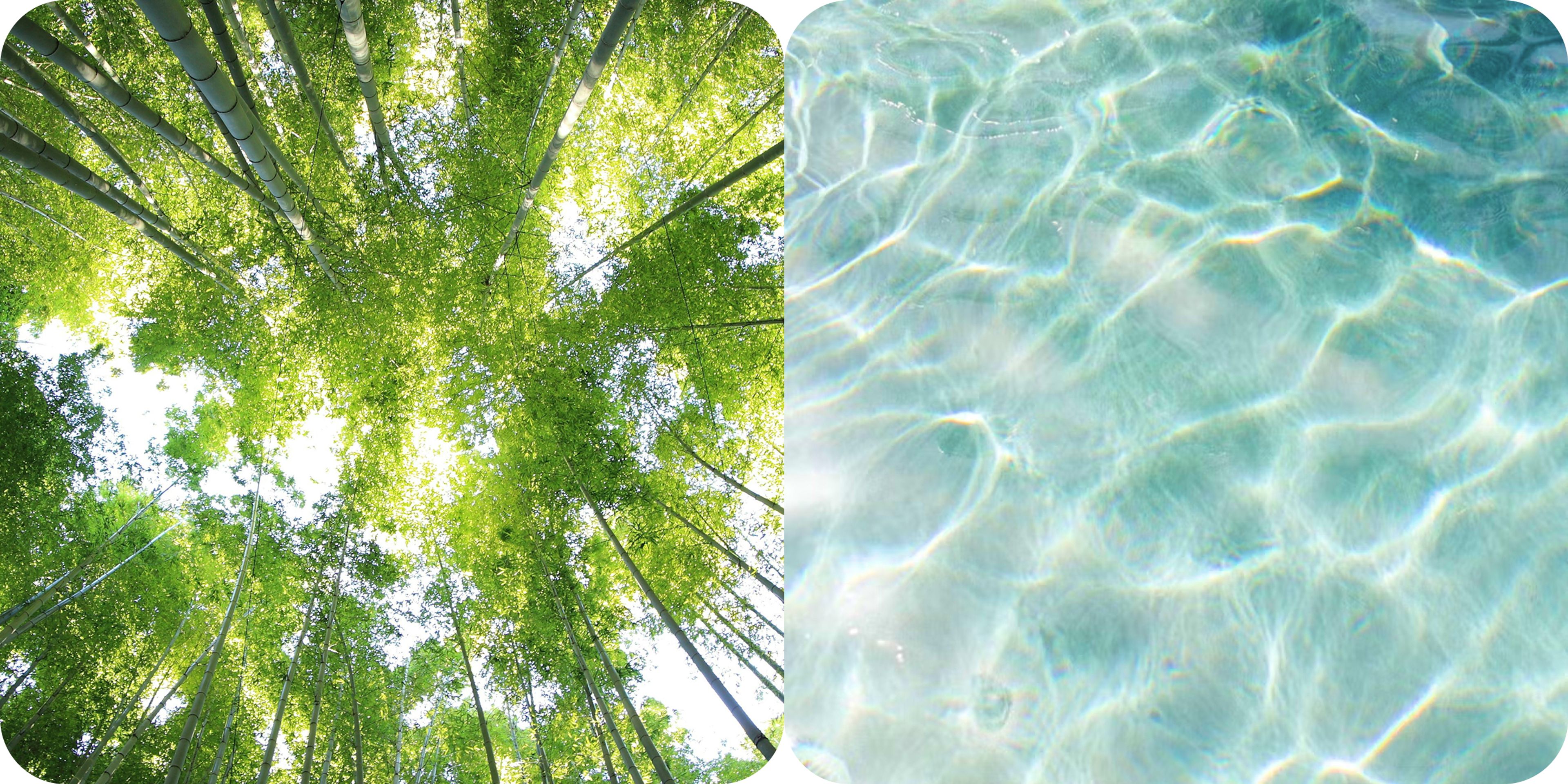 green spaces blue spaces