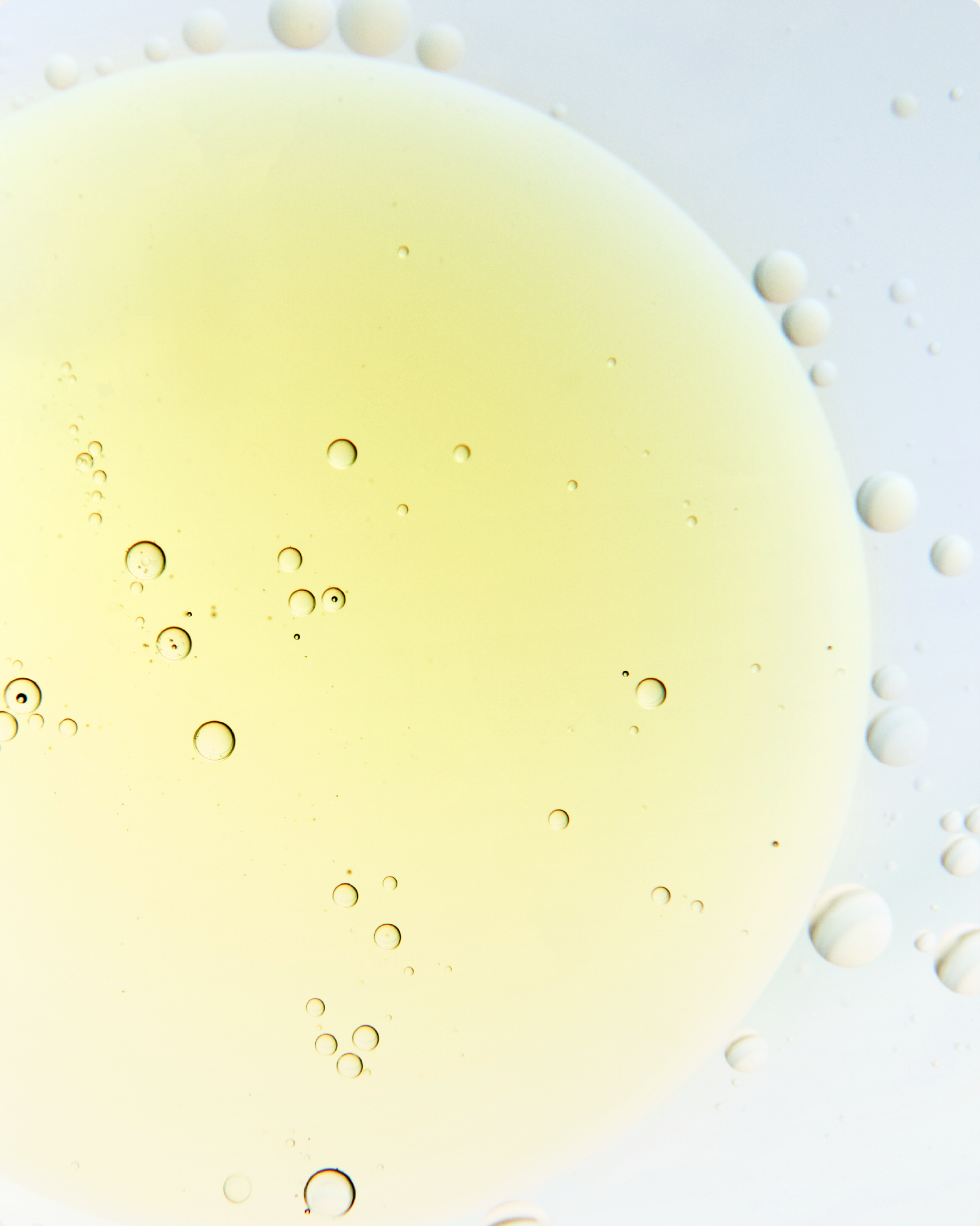 Lactic Acid ingredient