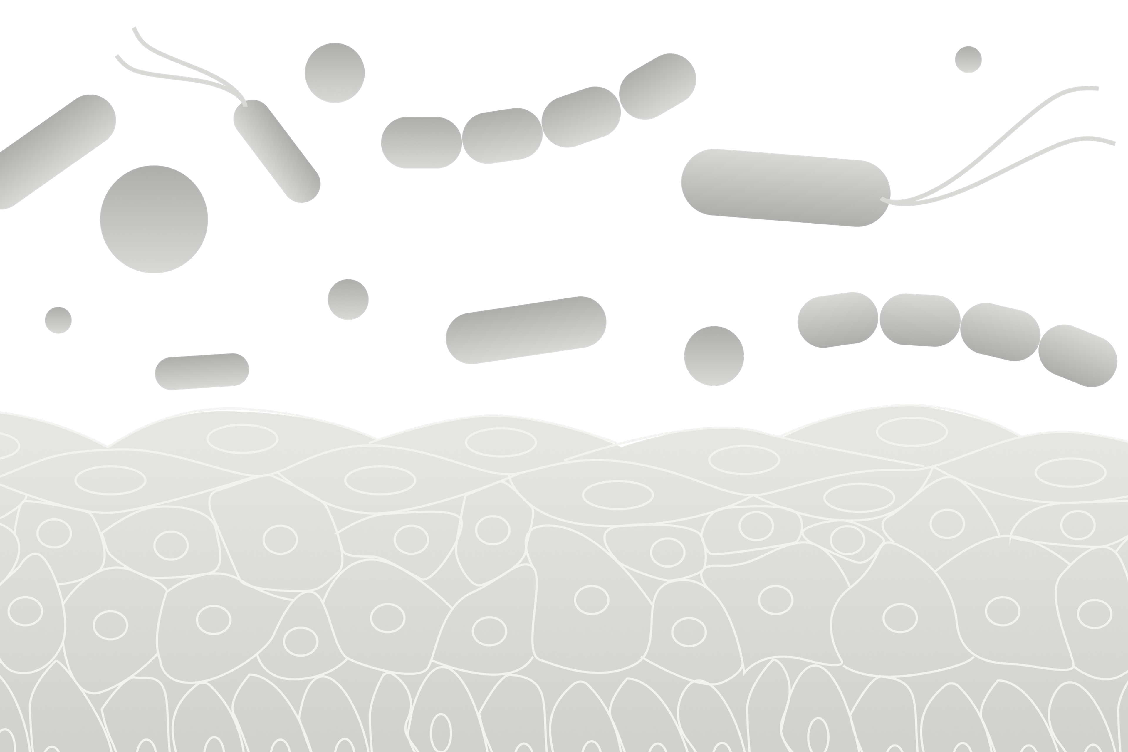 Representation of the skin microbiome