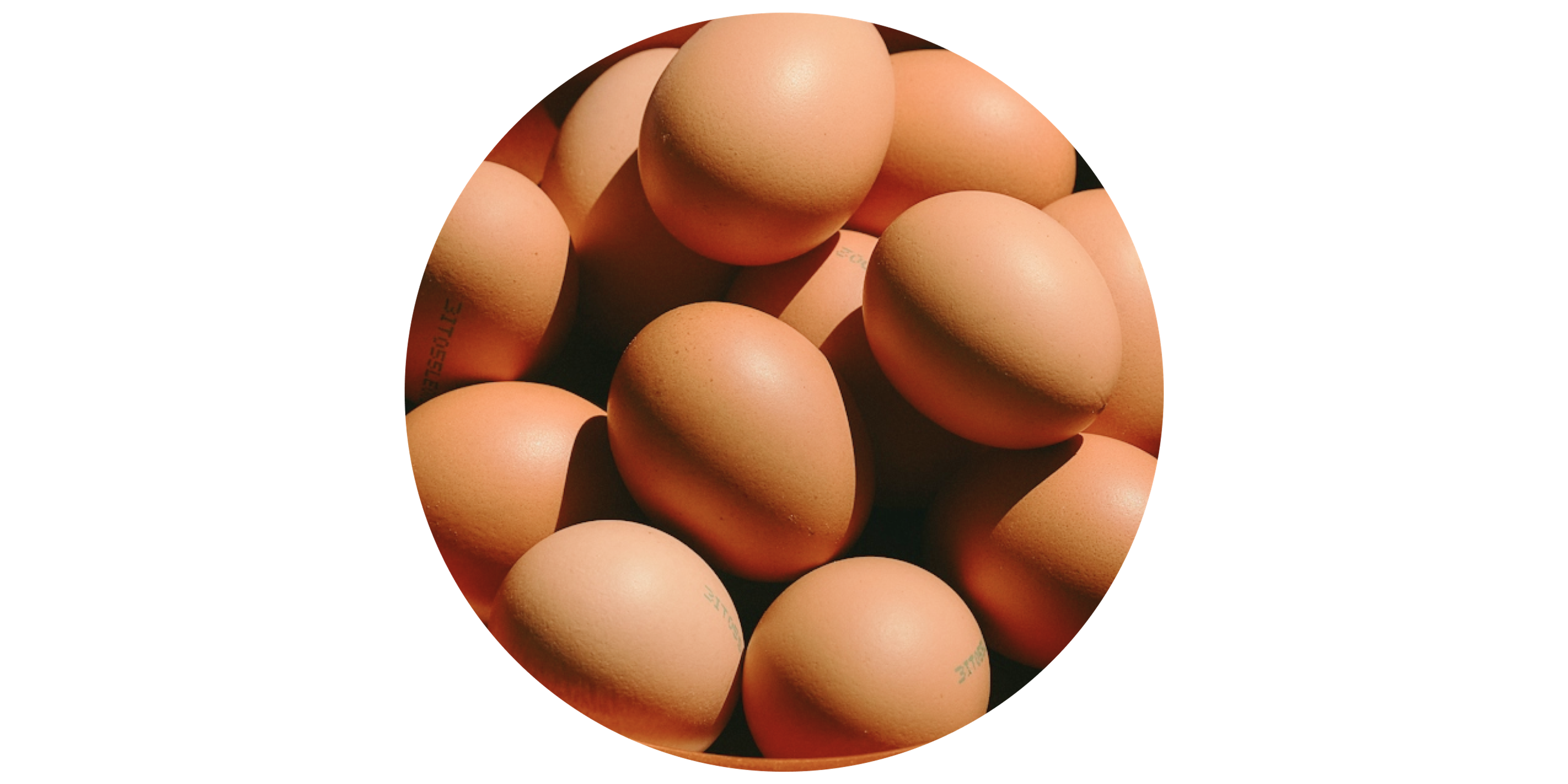 Keto Diet