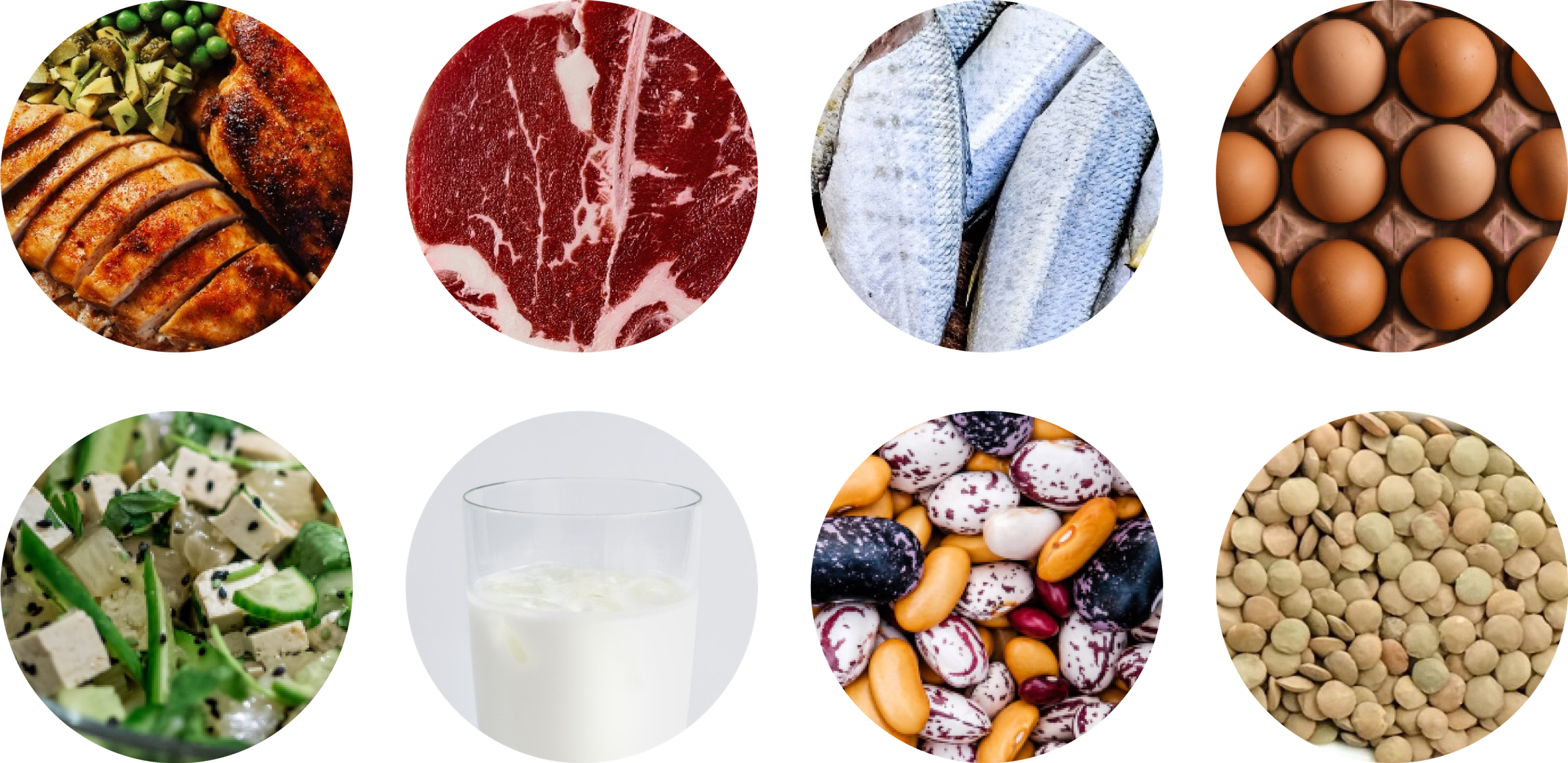 Nutrition for muscle building