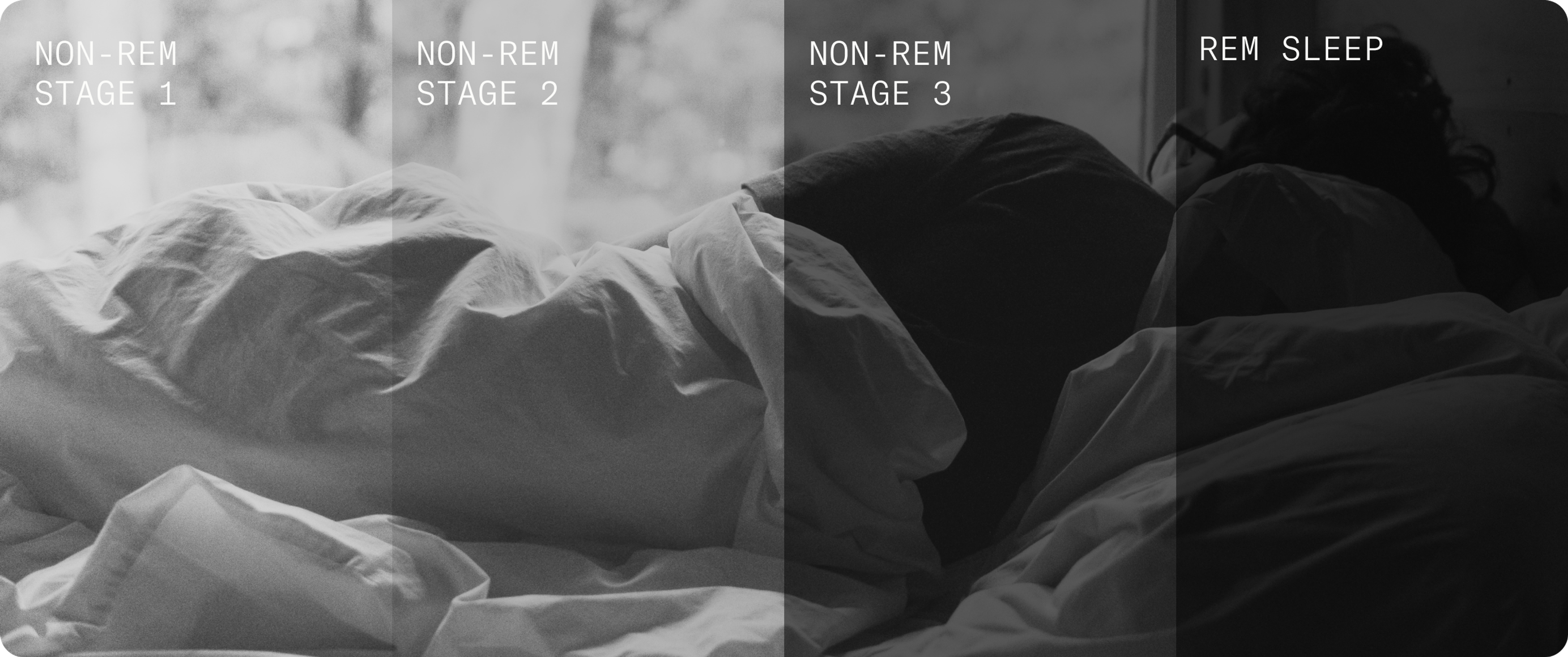 Sleep fases