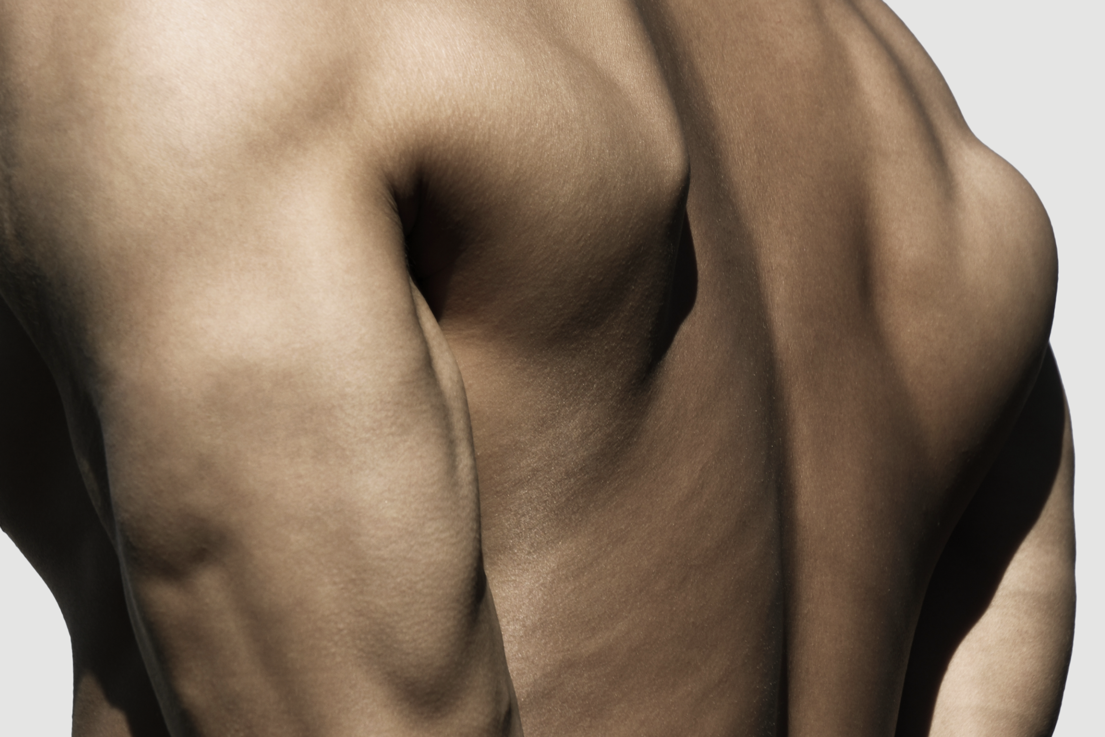 Muscle