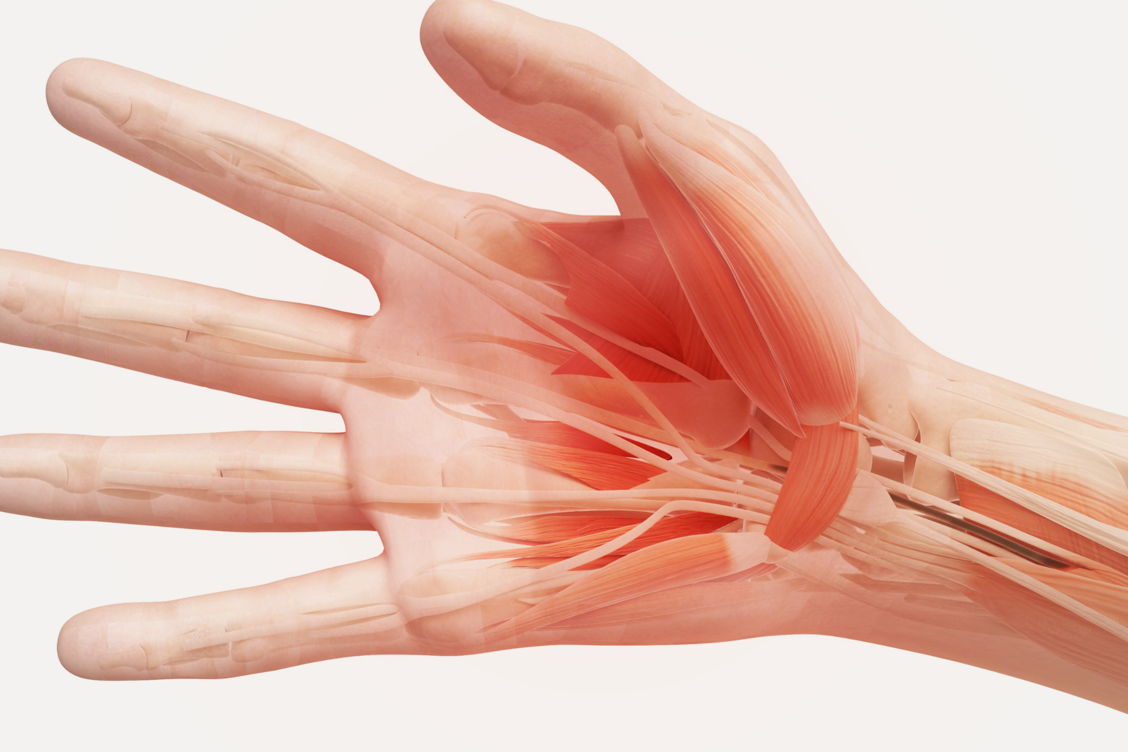 Hand with inflammaging