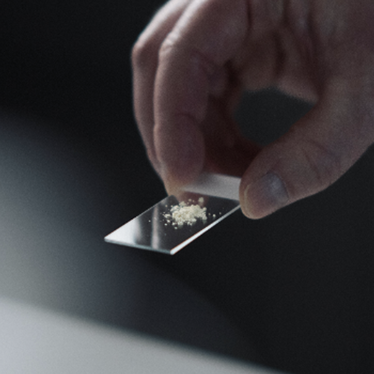 Science of Mitopure (Urolithin A)