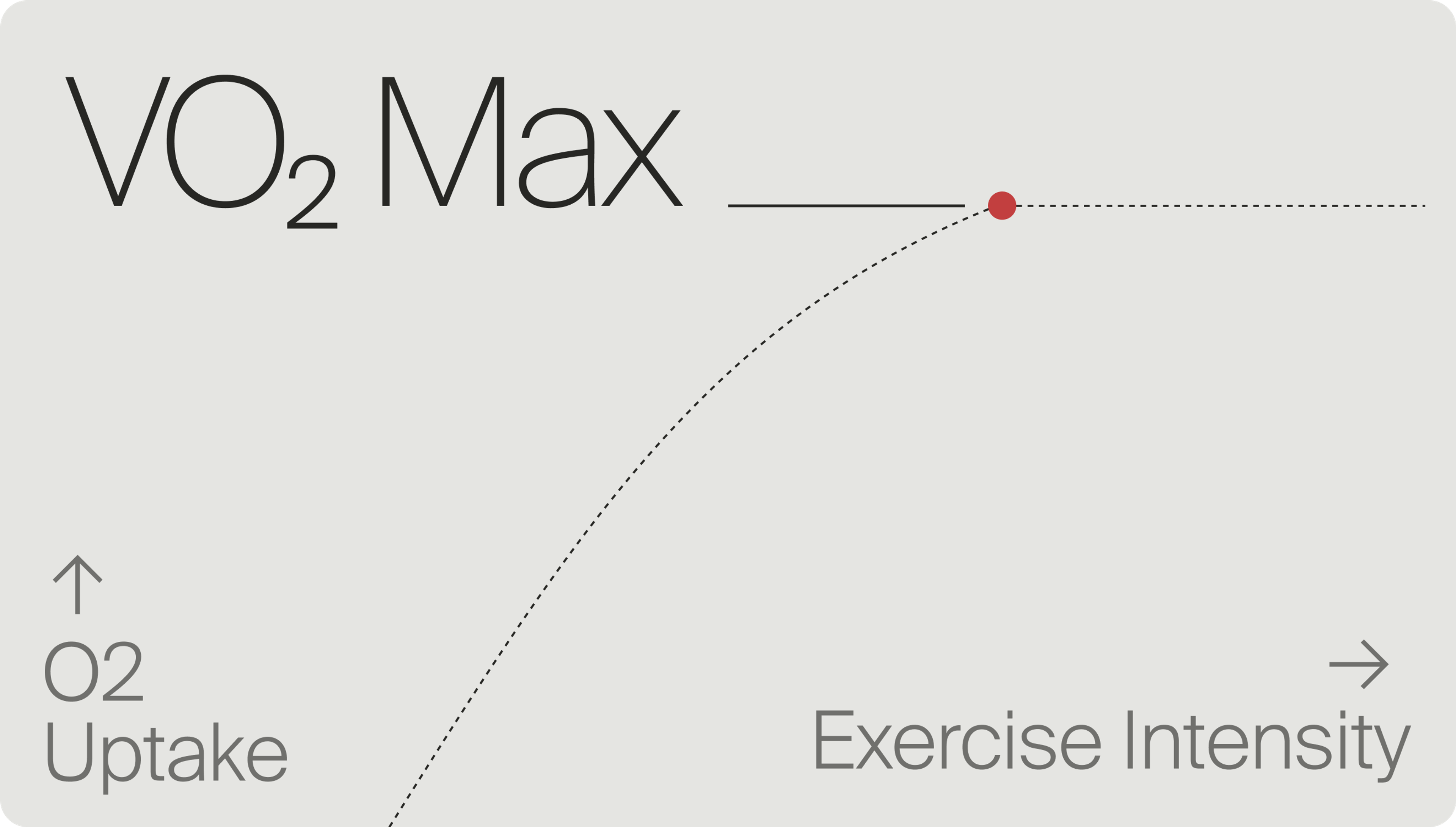 VO2 Max definition