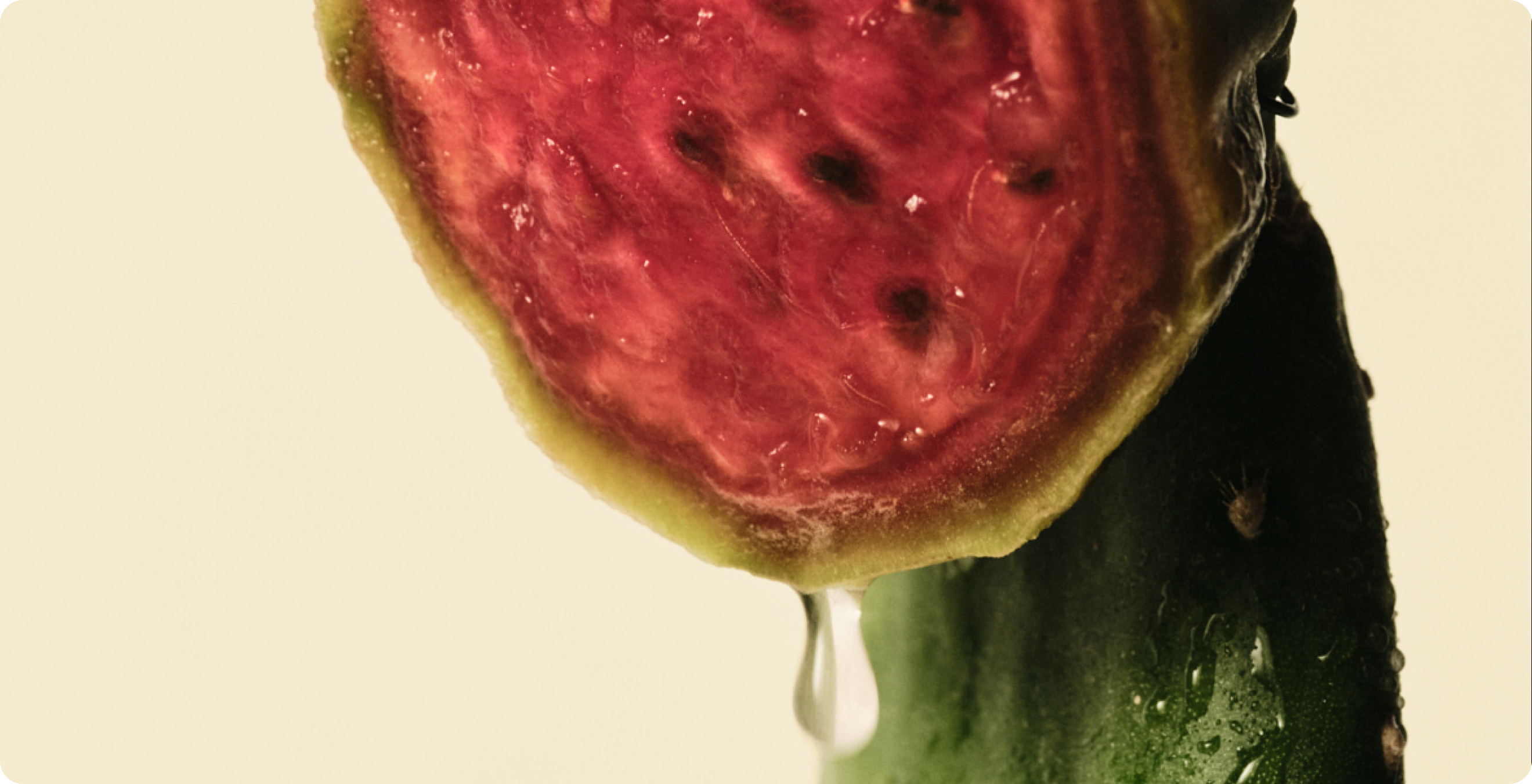 mitobiotic exfoliator