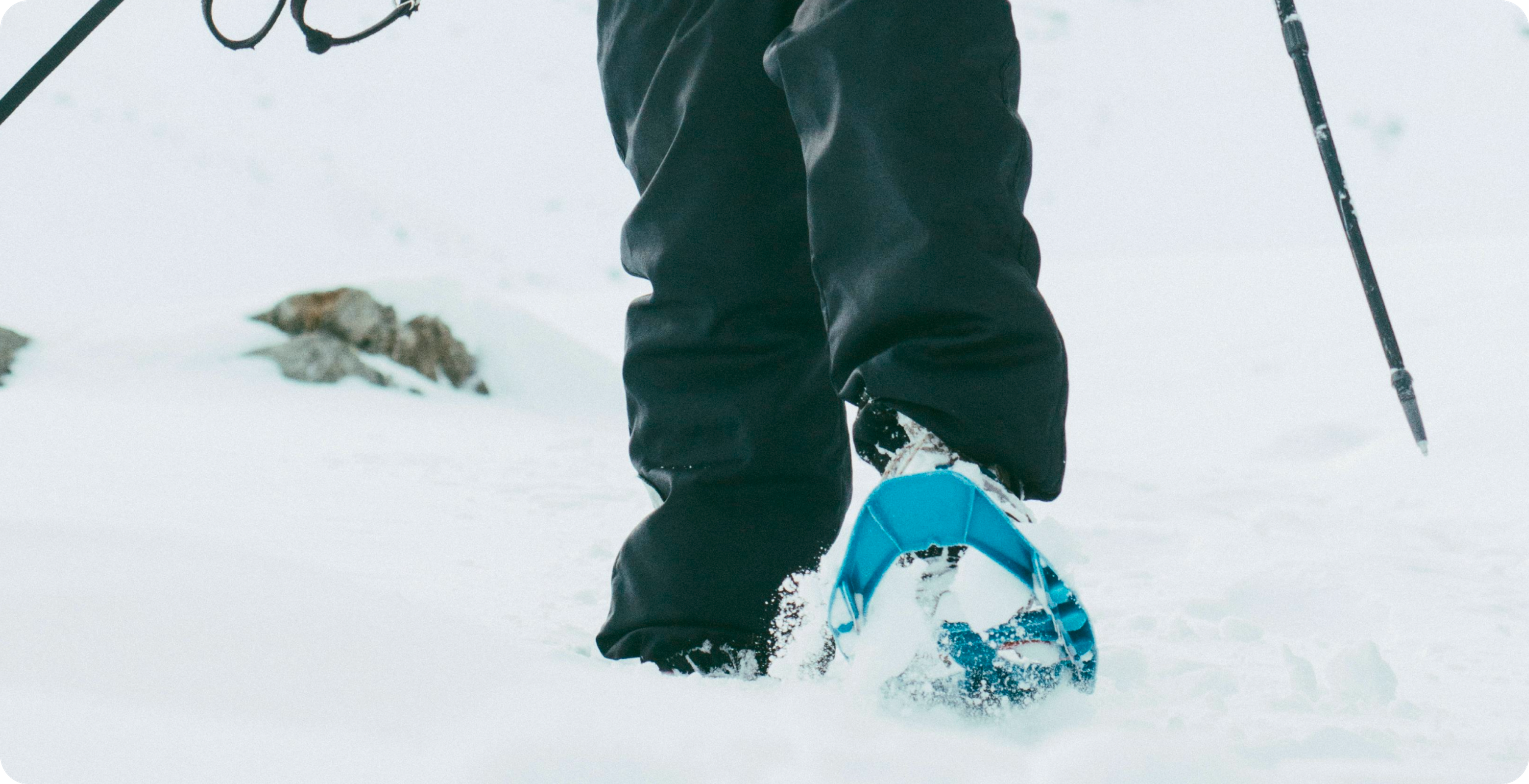Snow Shoeing