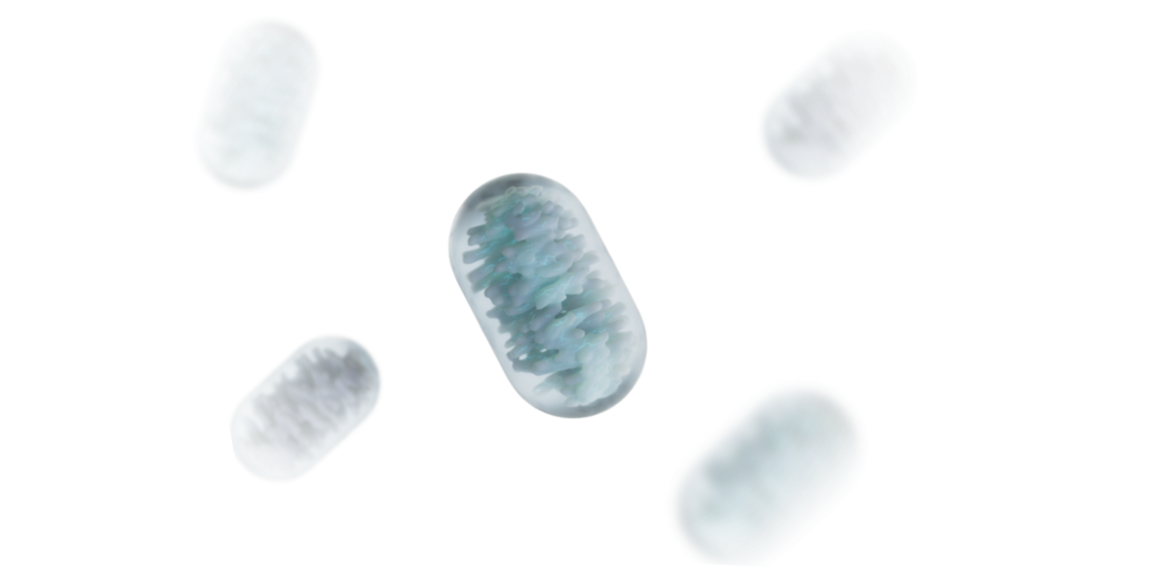 mitochondria