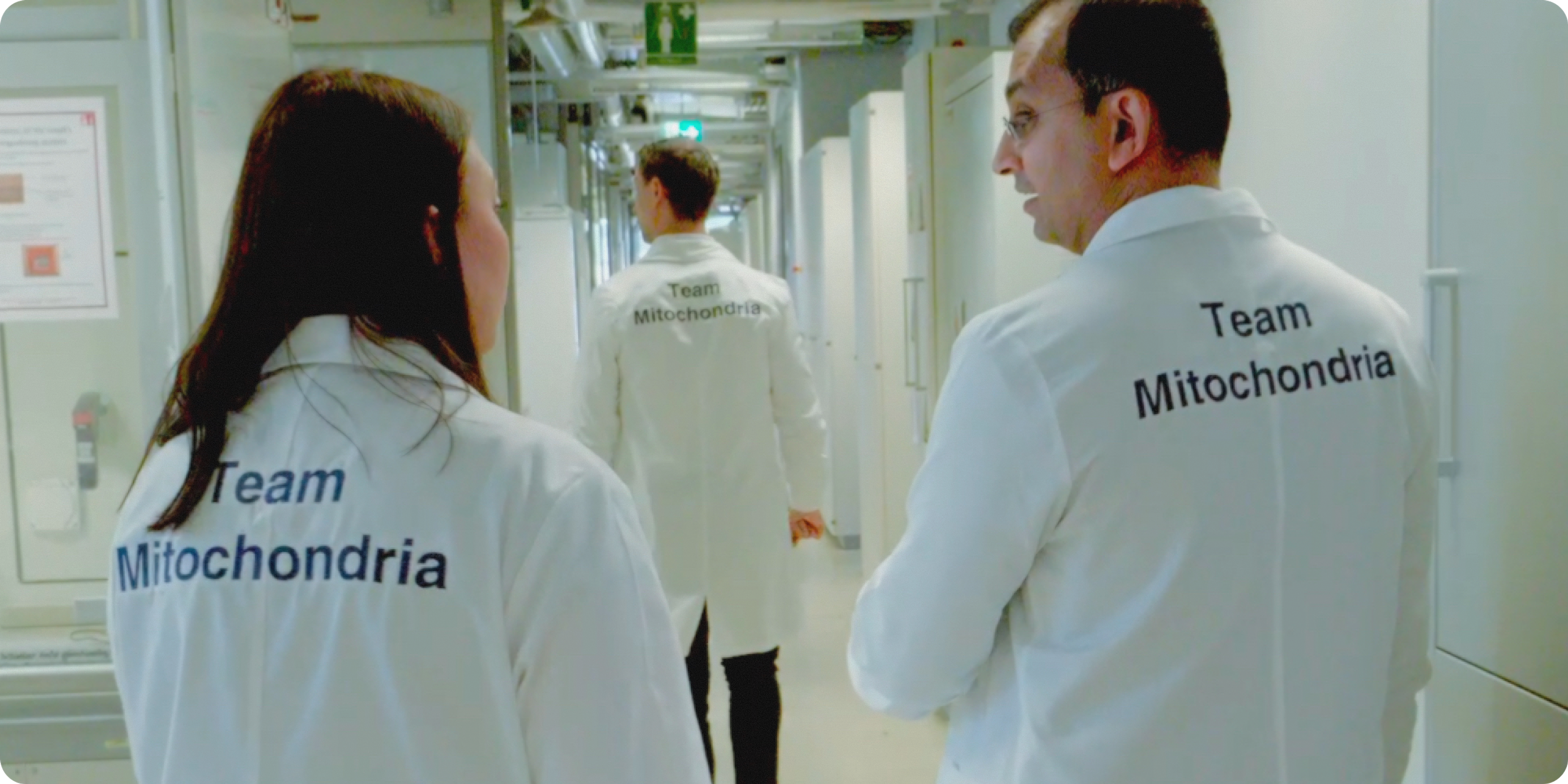 Timeline Scientists