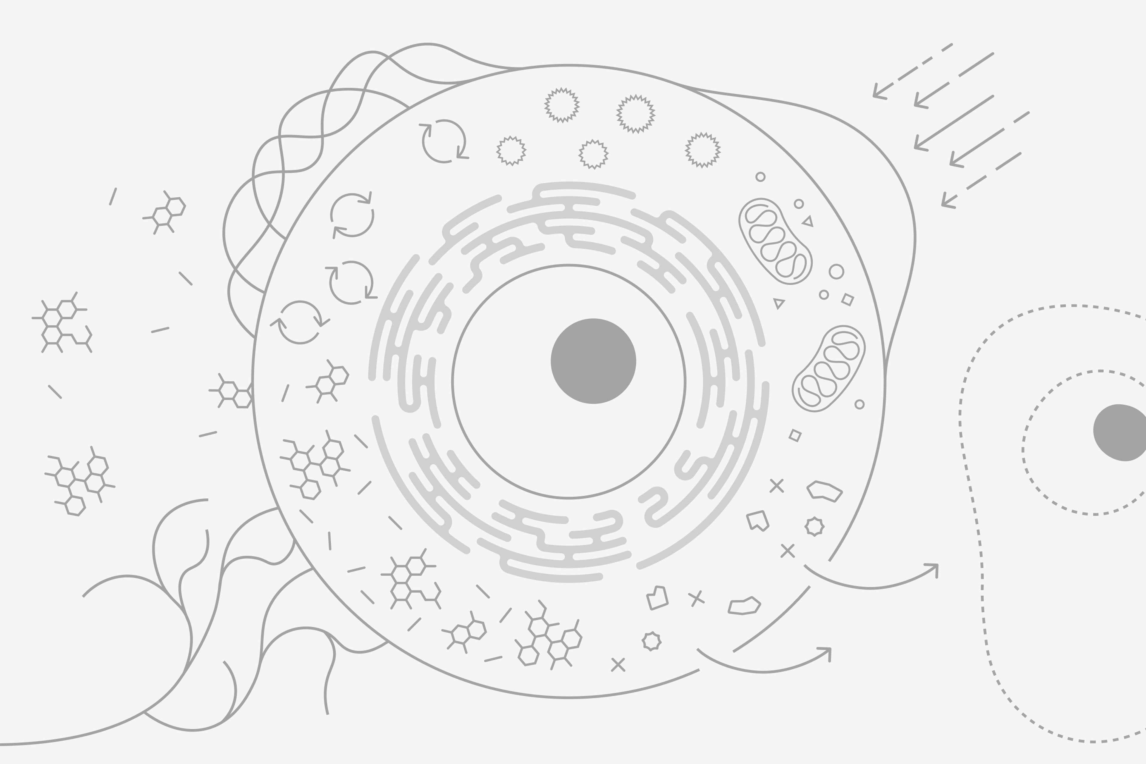 The human cell and its processes