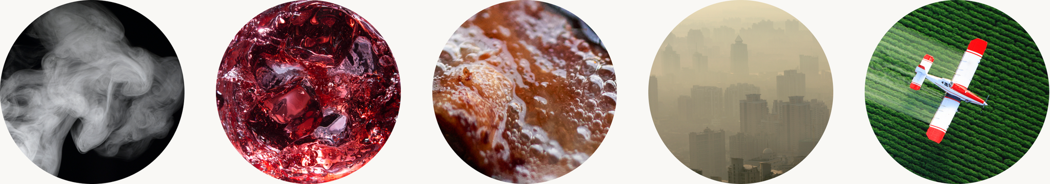 Cellular Damage: What Causes It and How to Combat It - Timeline