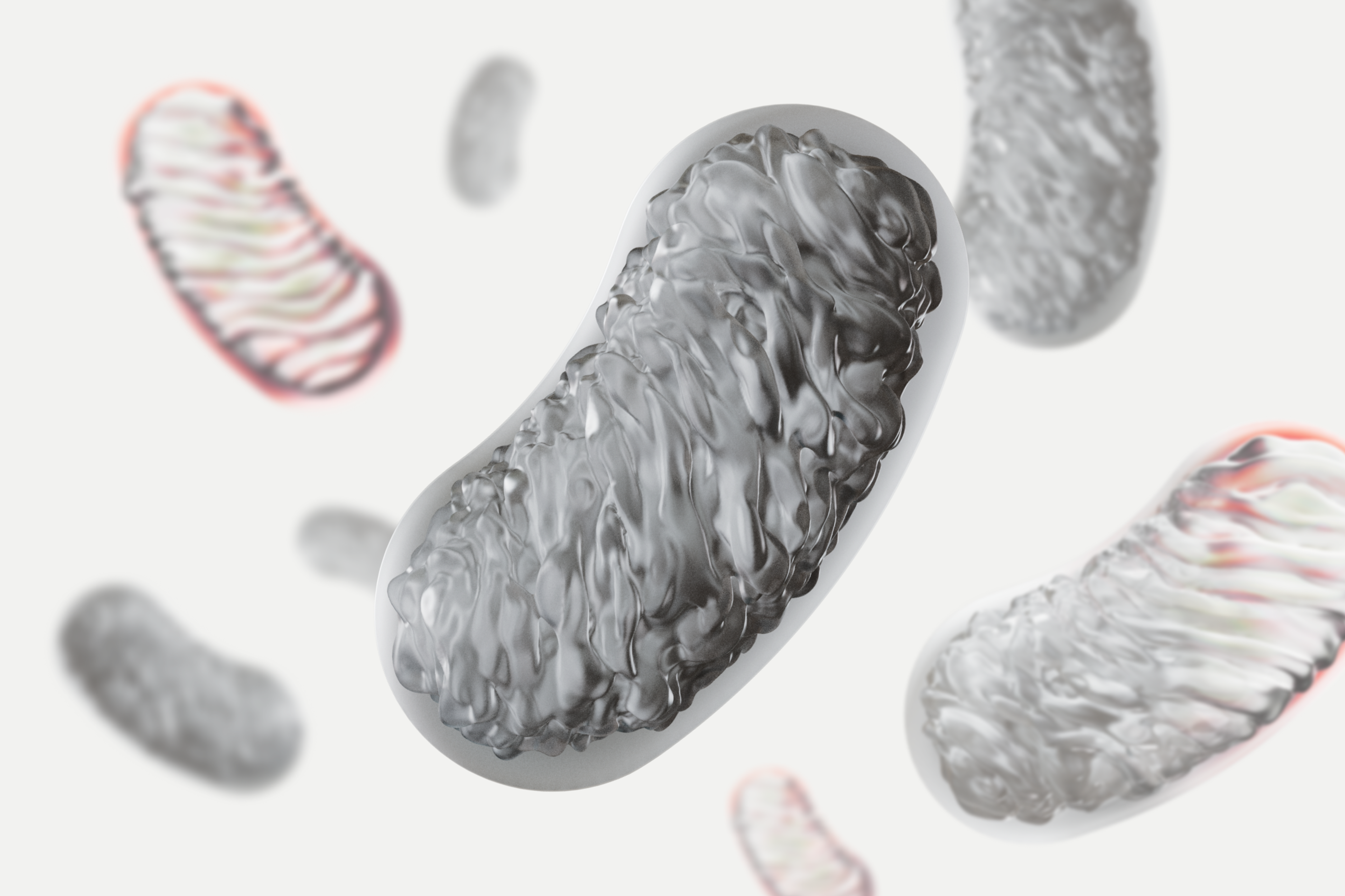 Bad mitochondria