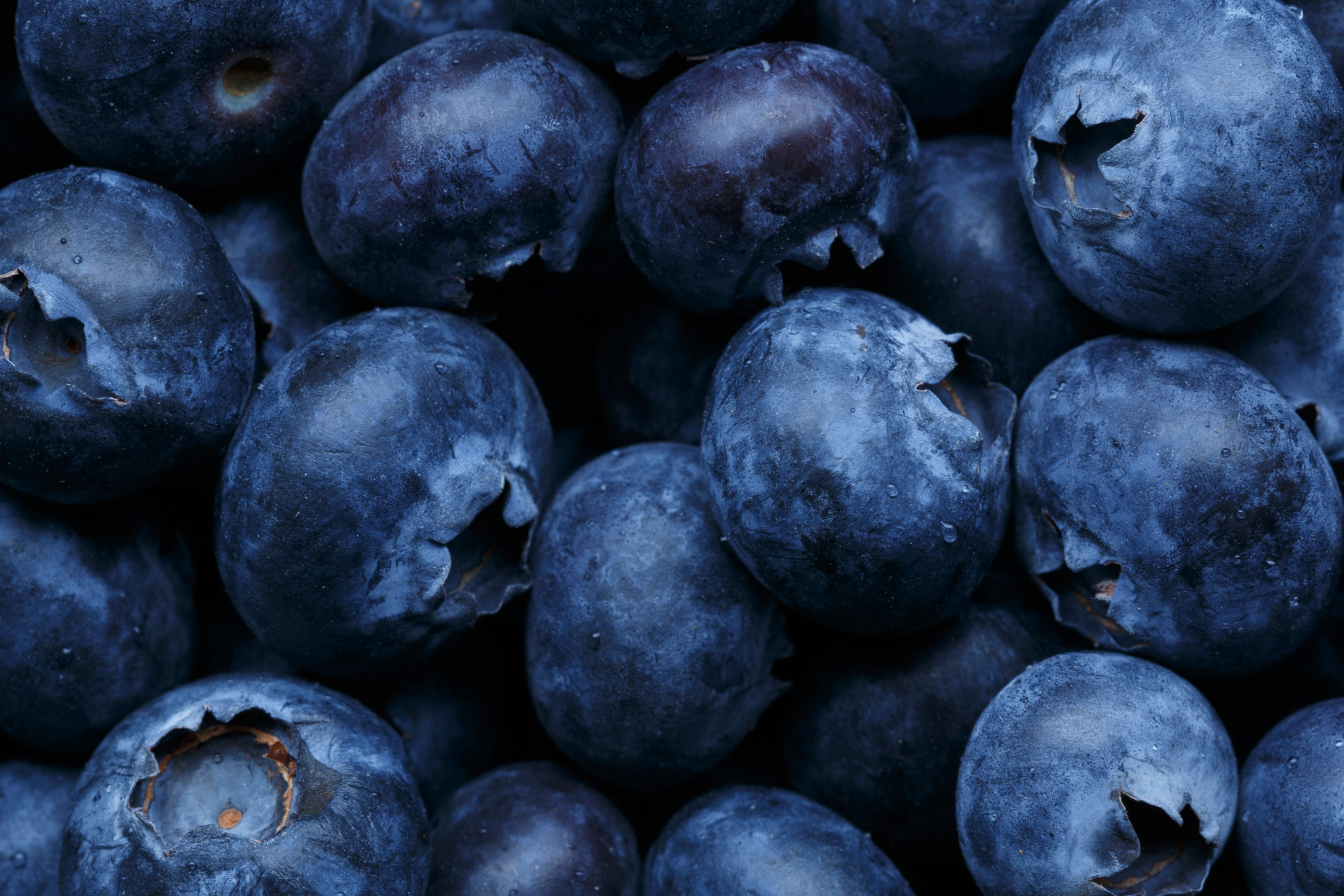 Blueberries