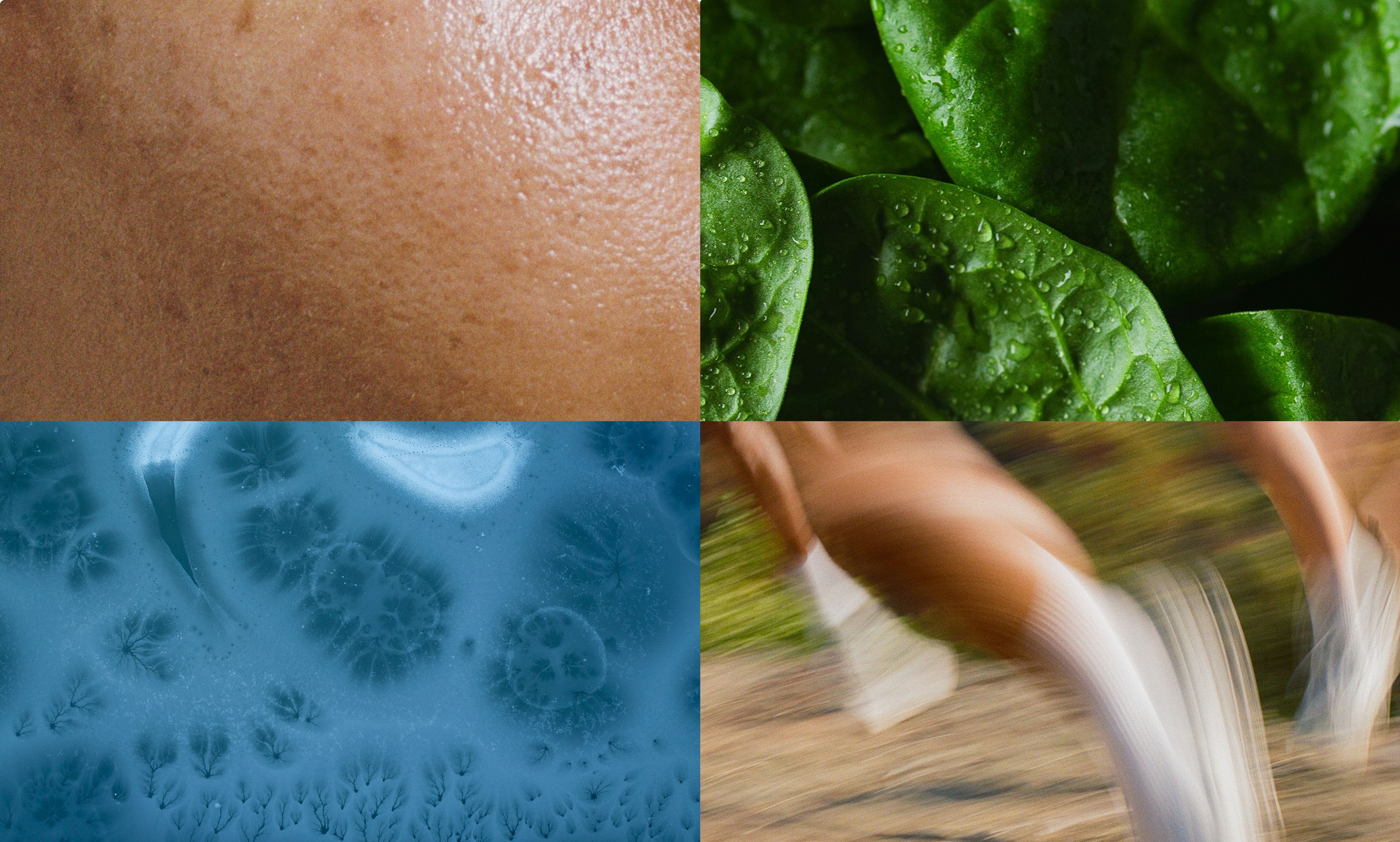 skinspan preservation