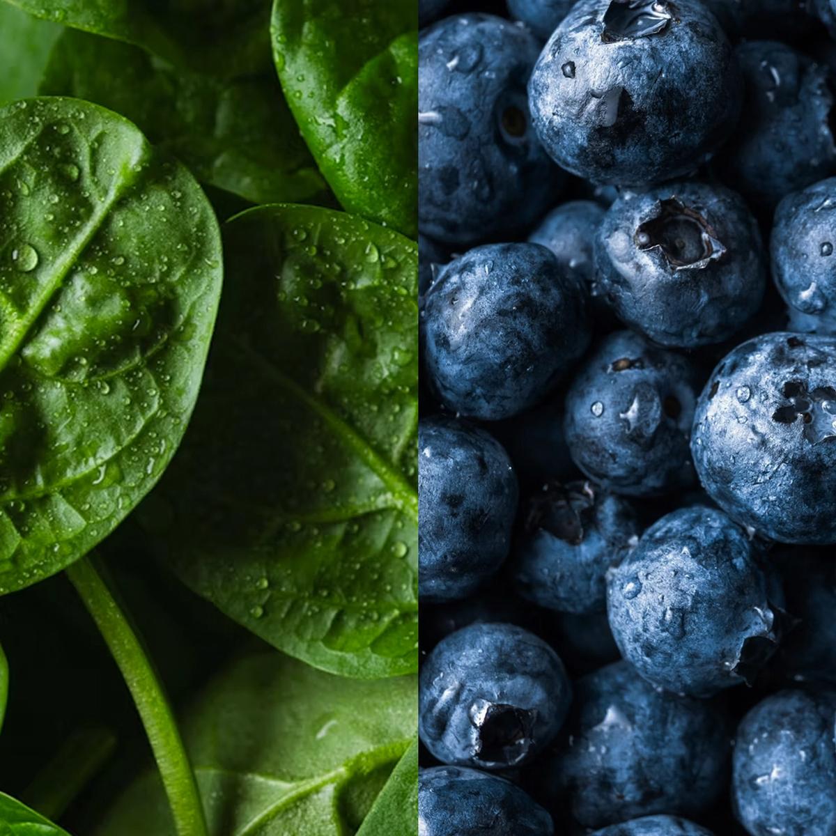 Dietary Fiber Benefits for Longevity and Overall Health - Timeline