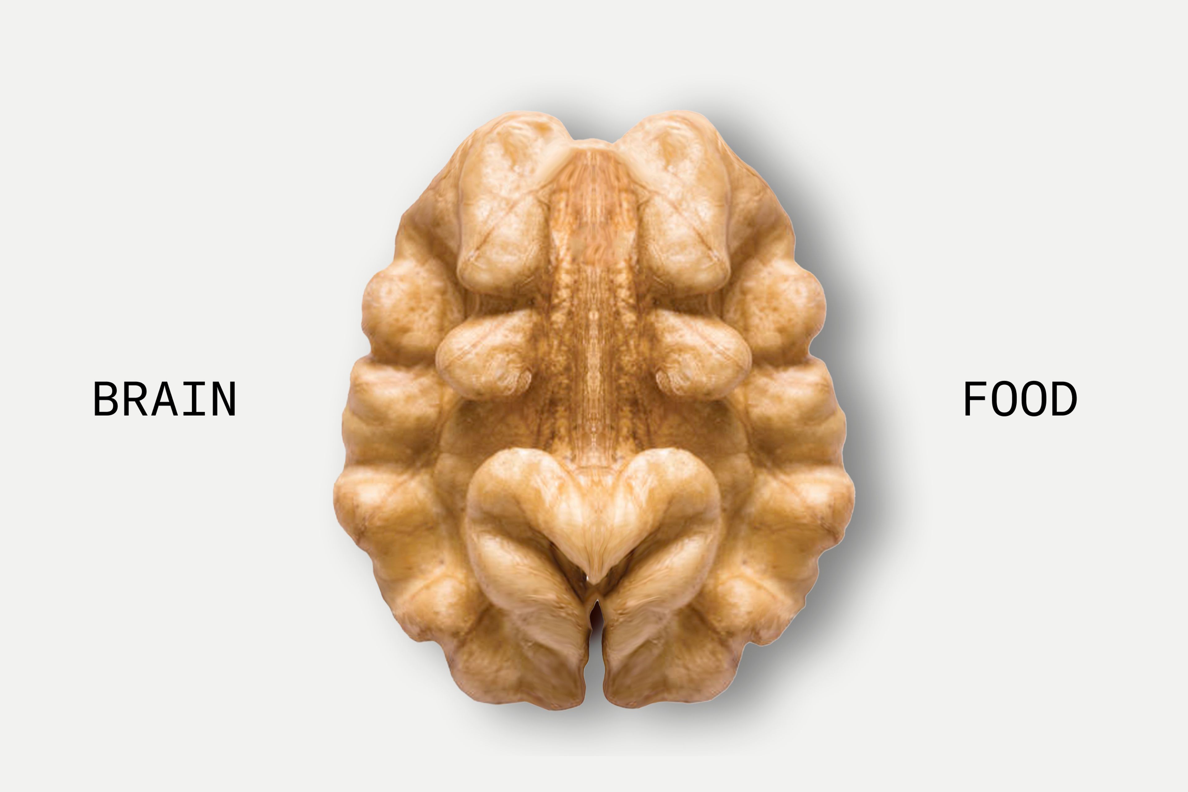 Walnut with the shape of a brain and the words Brain Food