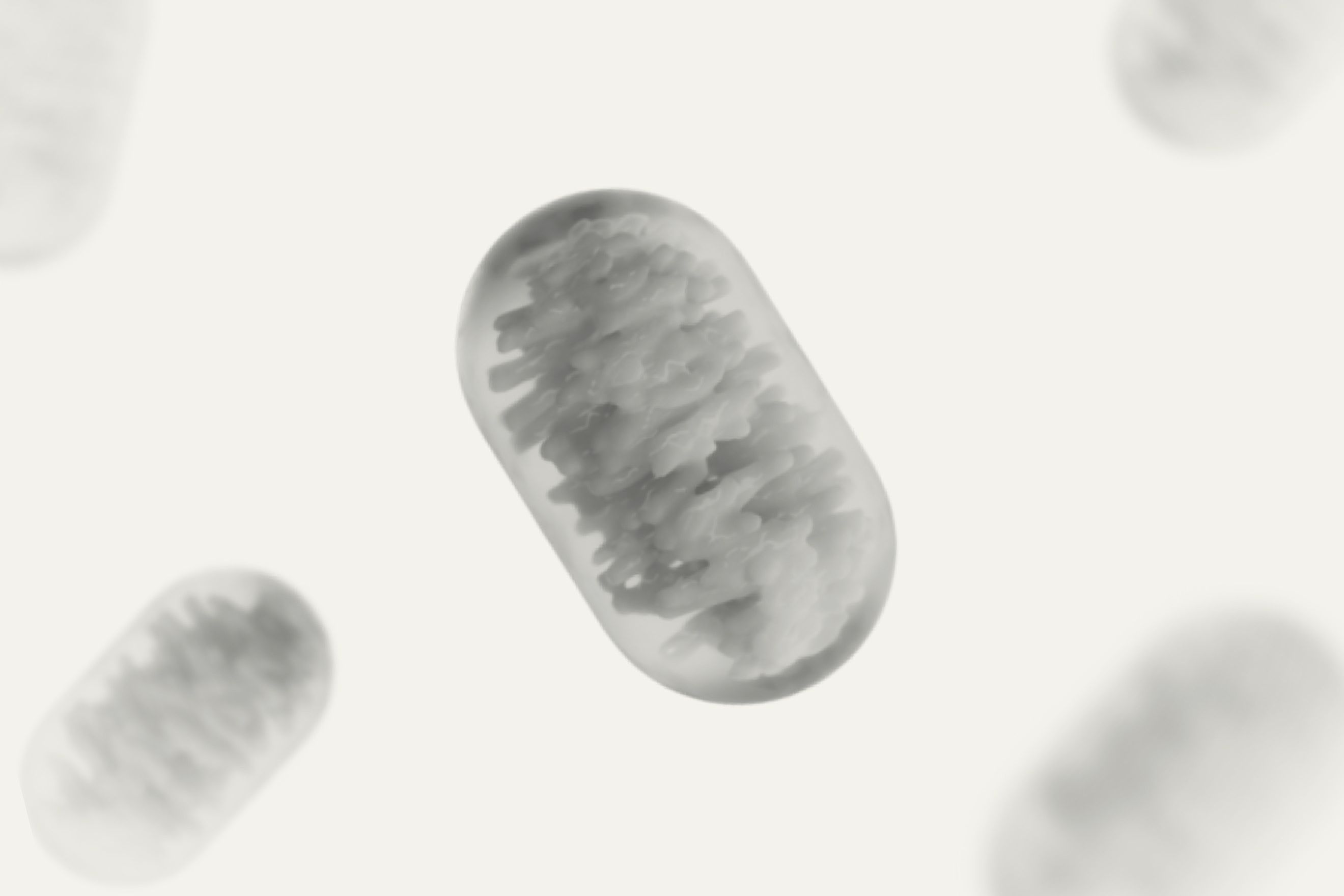 mitochondria