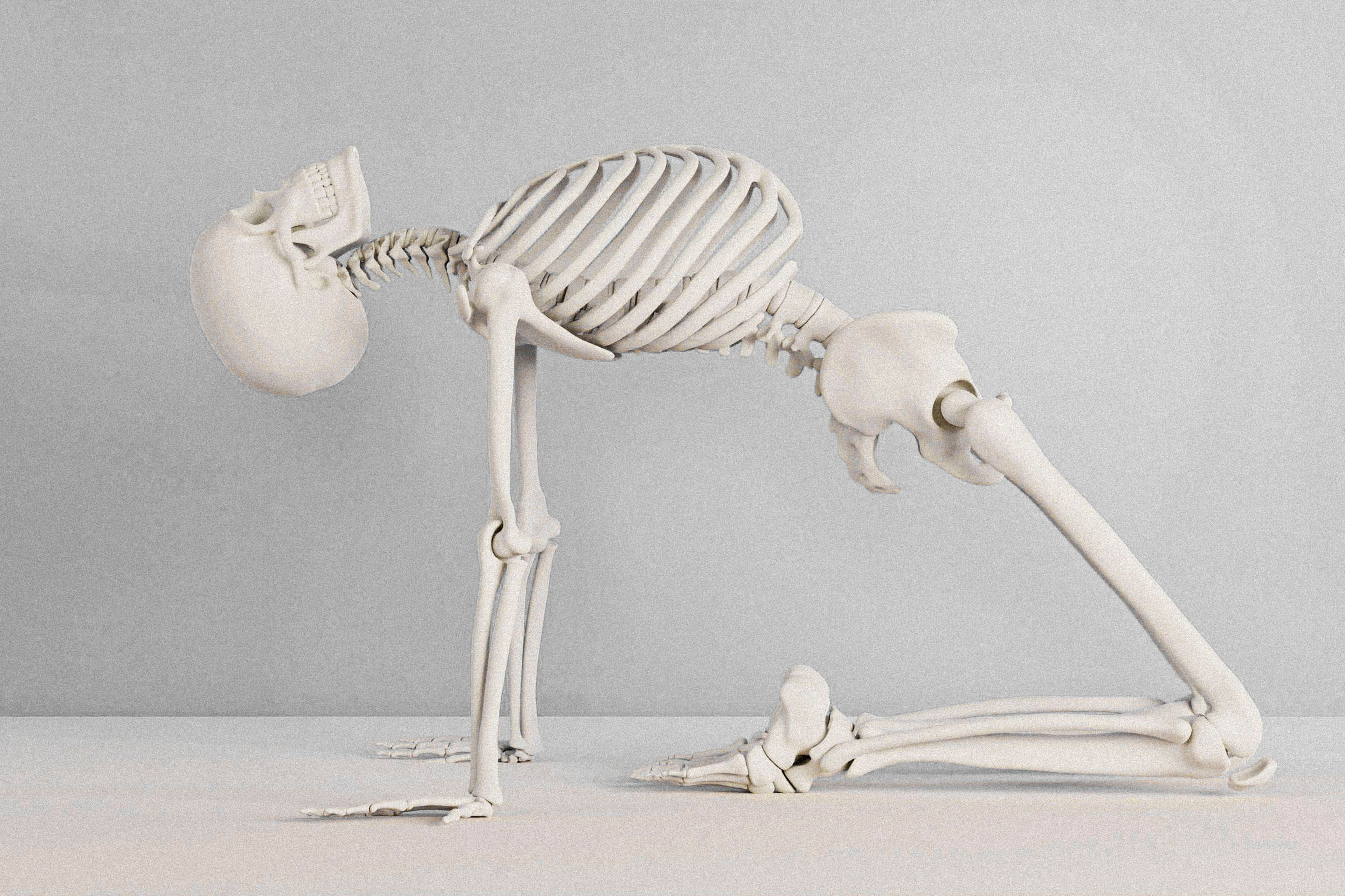 3D Skeleton Image