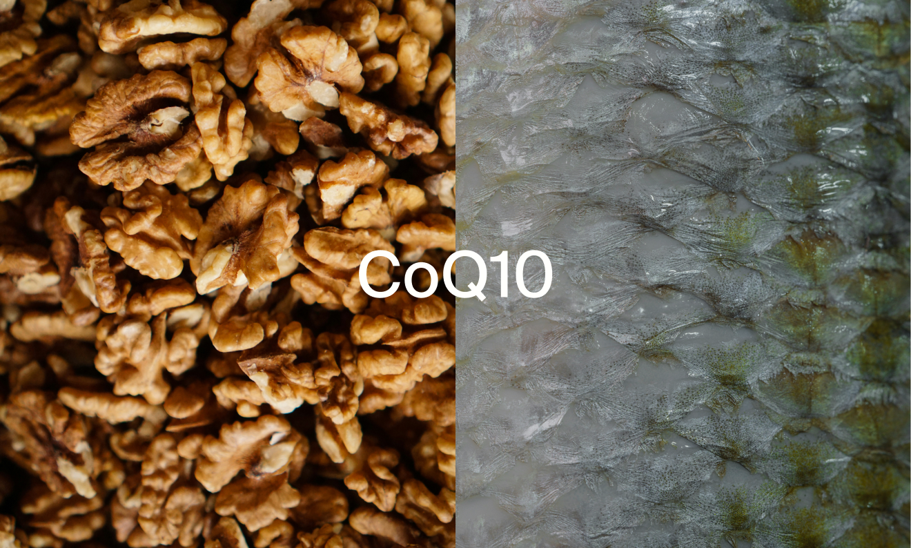 CoQ10