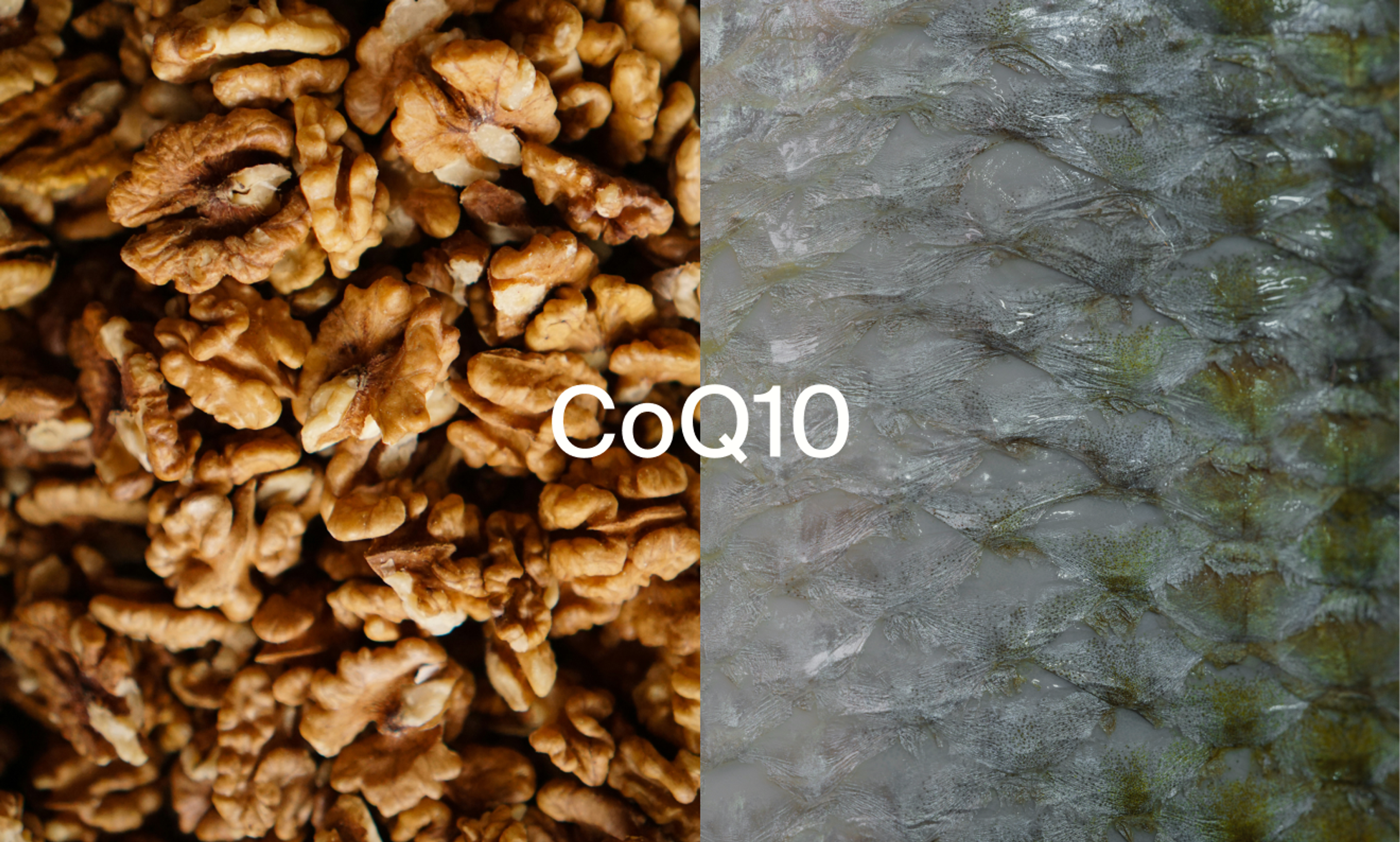 CoQ10