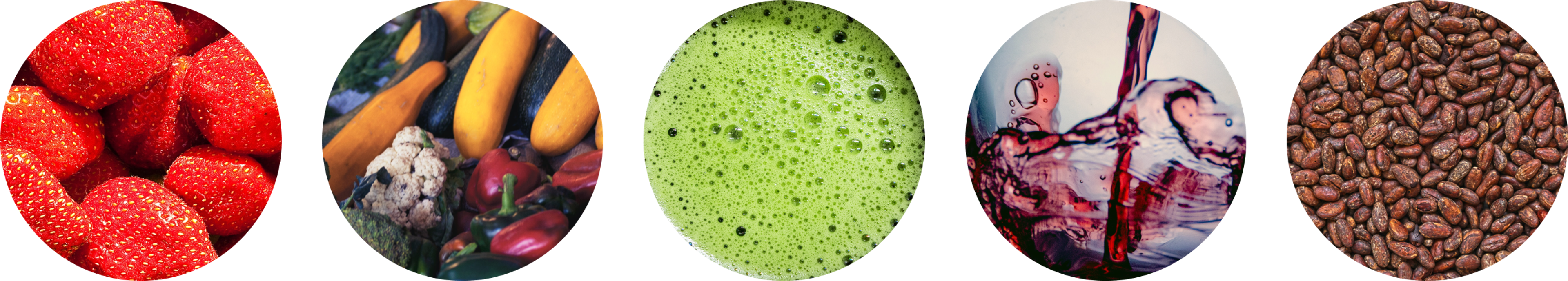 Foods that are rich in flavonoids