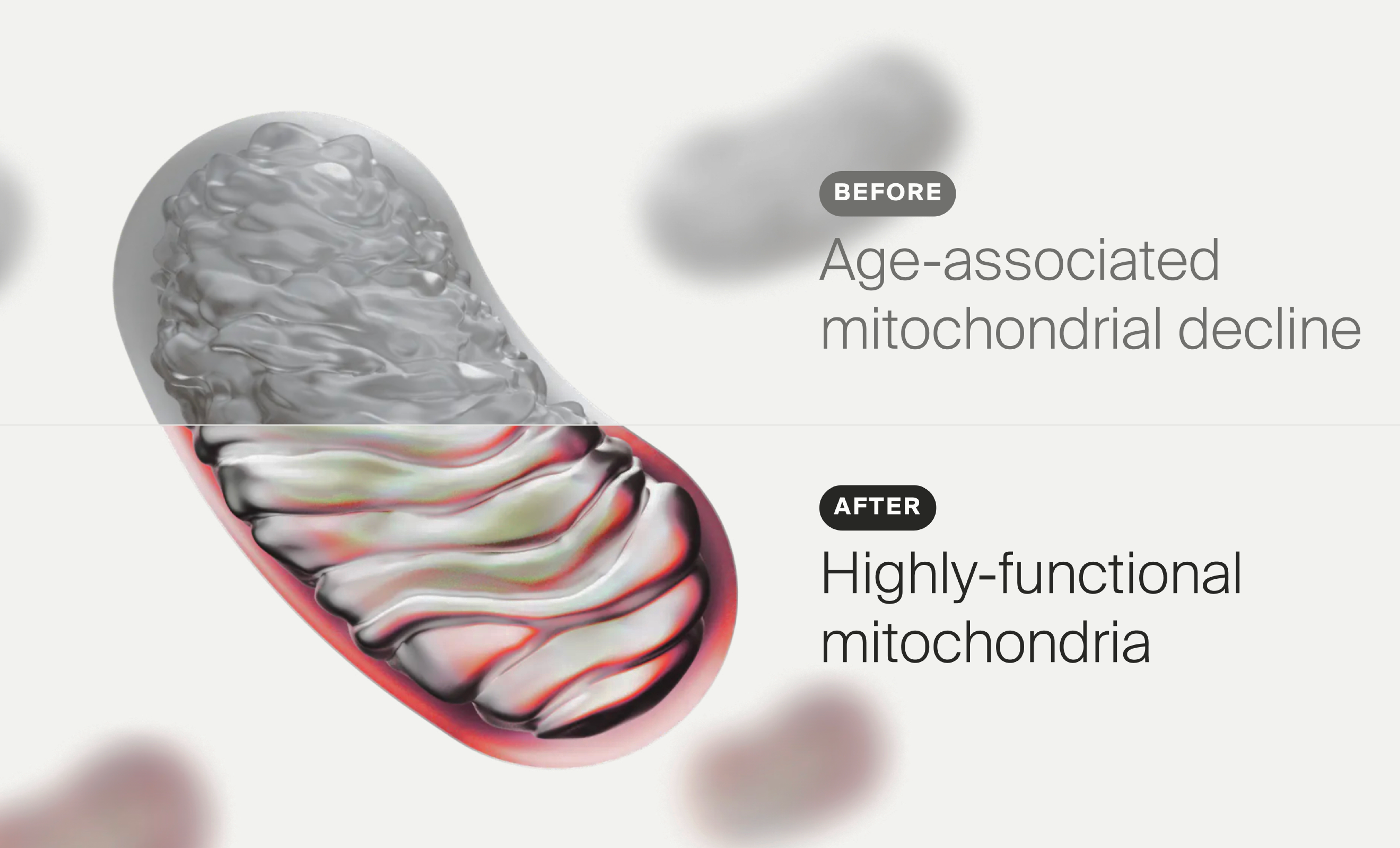 Mitoceutical explained