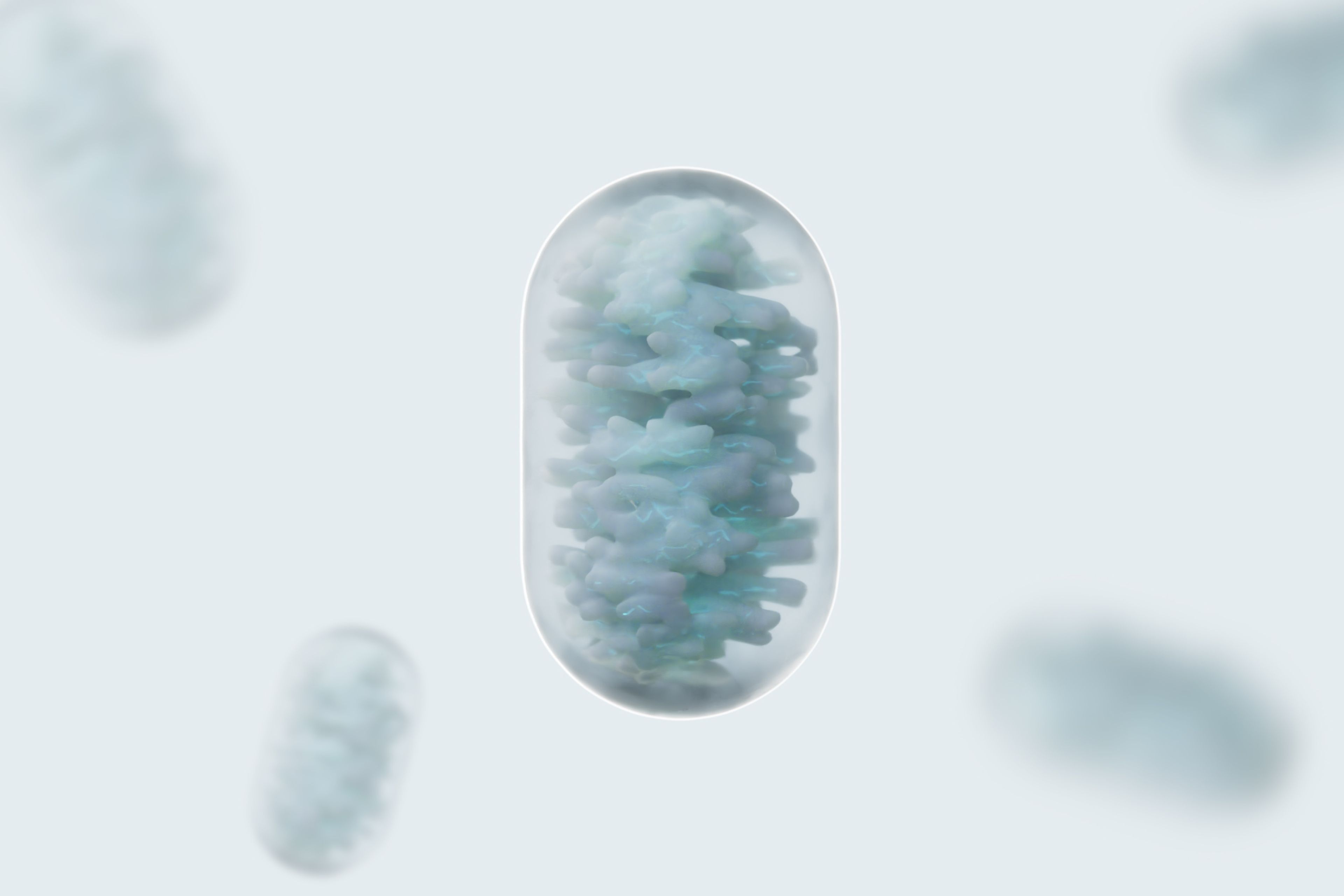 Mitochondria