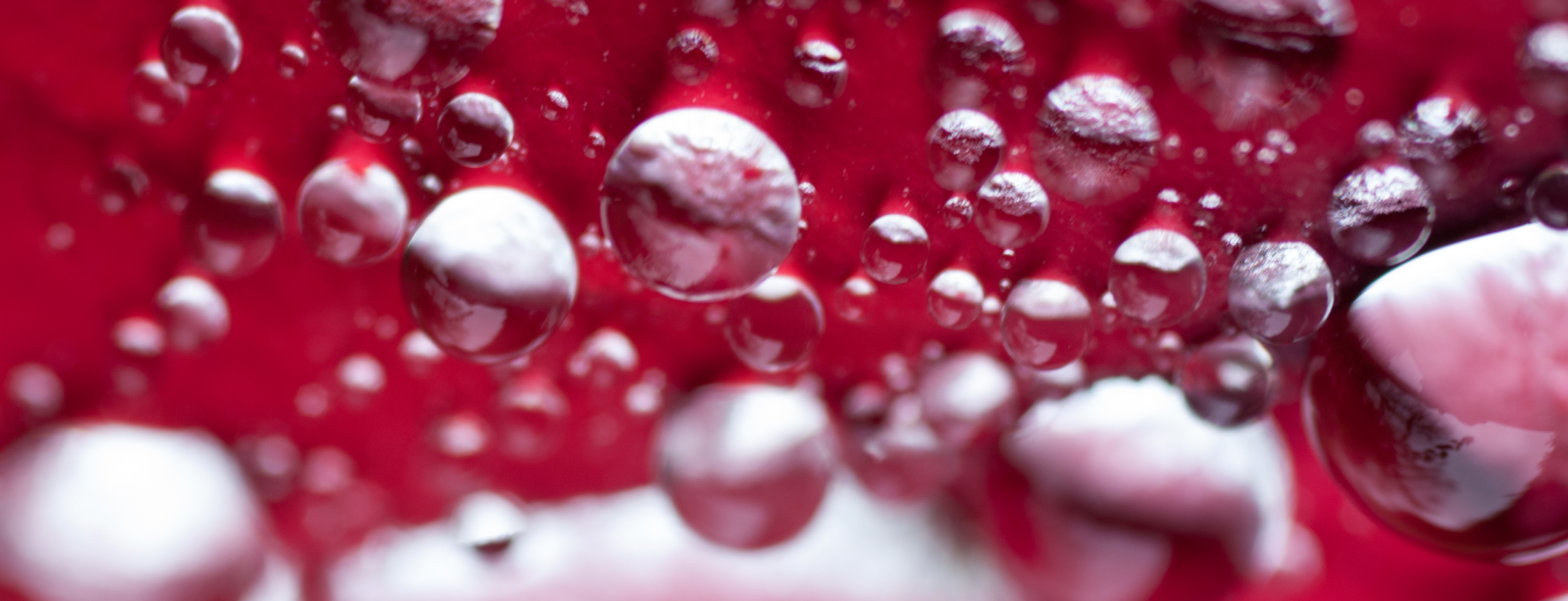 Pomegranate juice