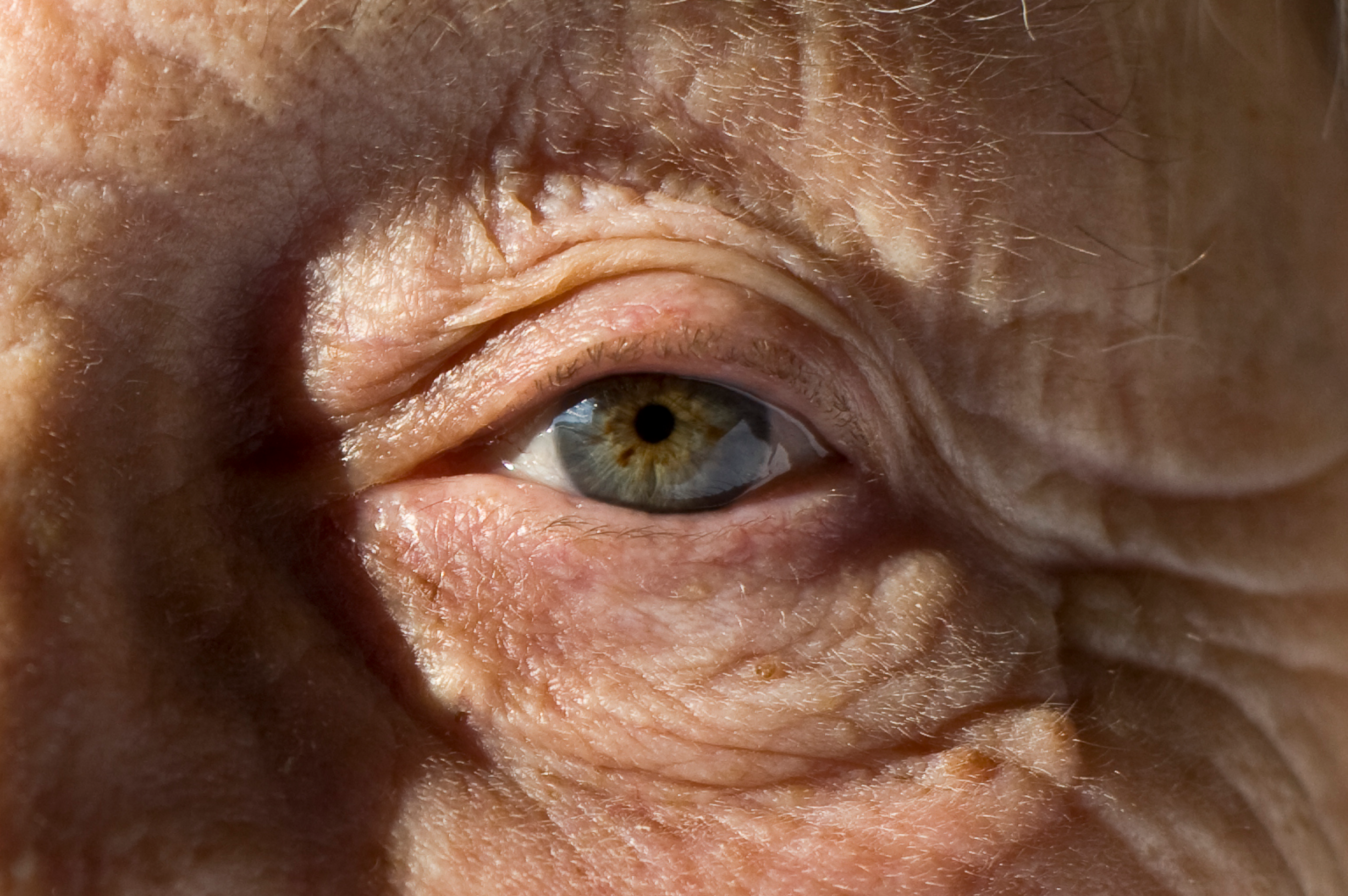 Close-up of an old person's eye