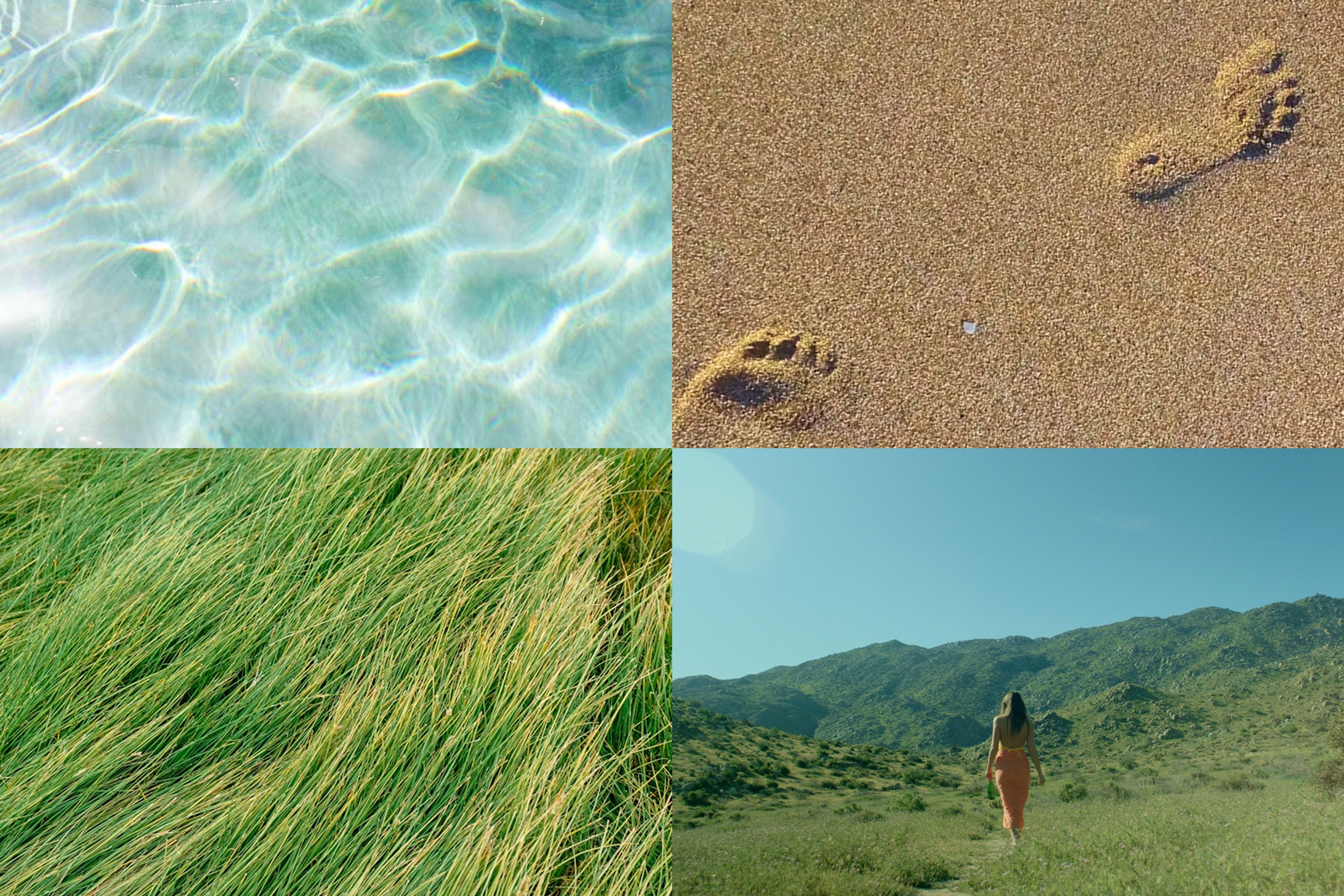 Nature visuals