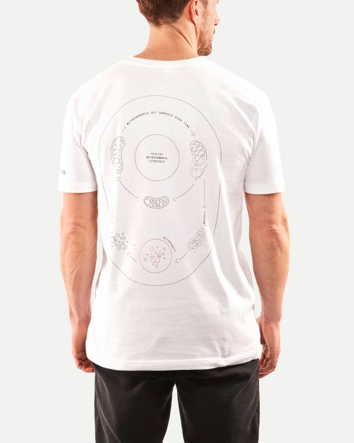 Timeline T-shirt