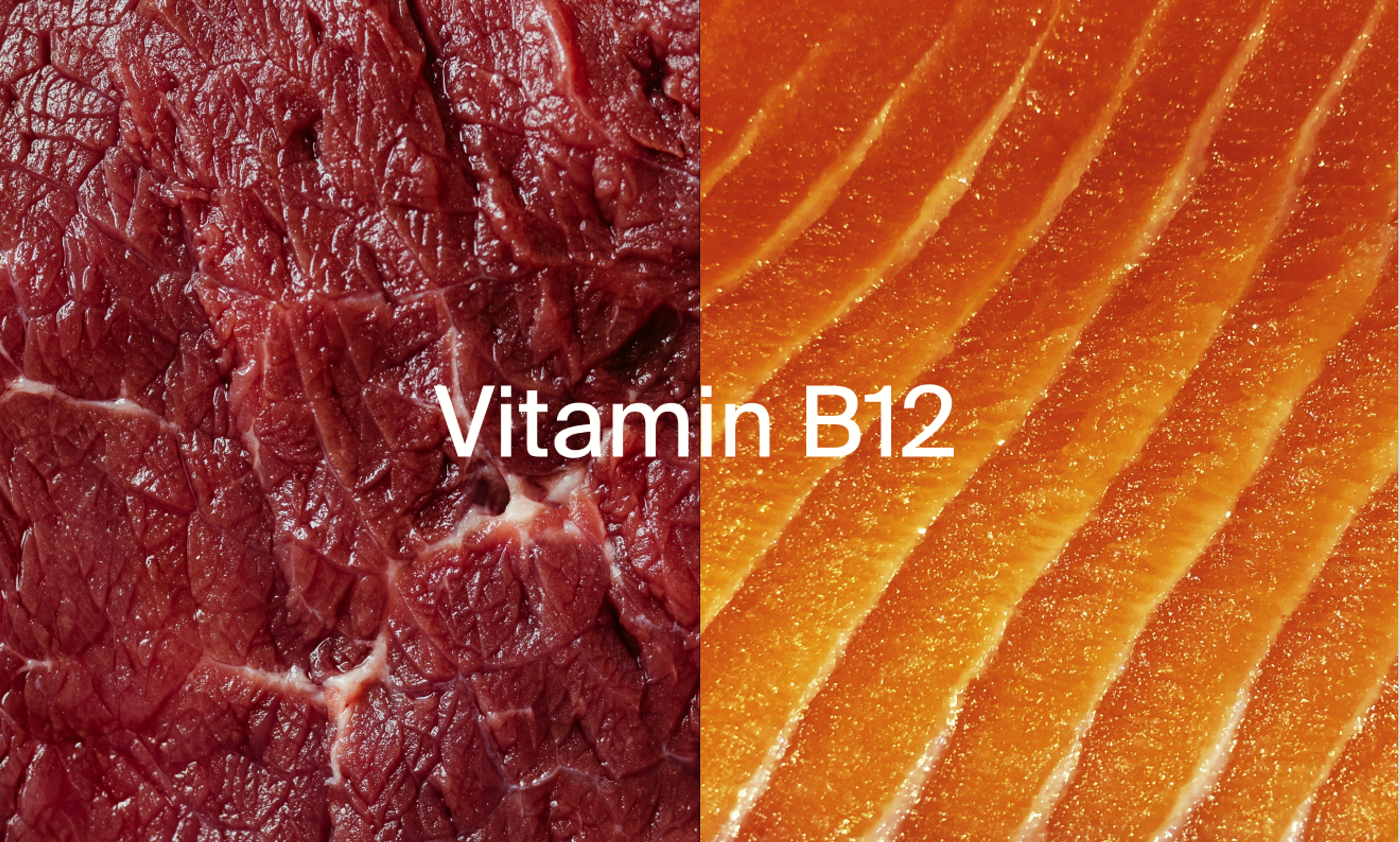 Vitamin B12