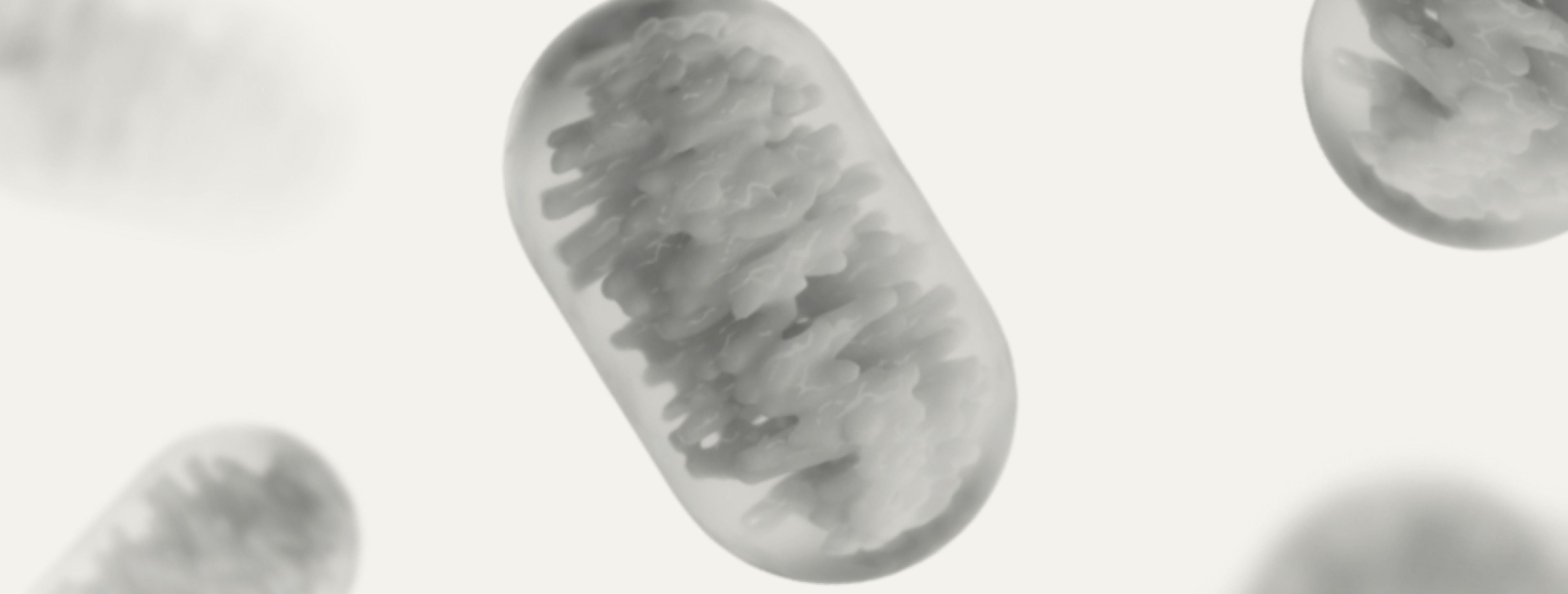 urolithin a for mitochondrial and muscle health