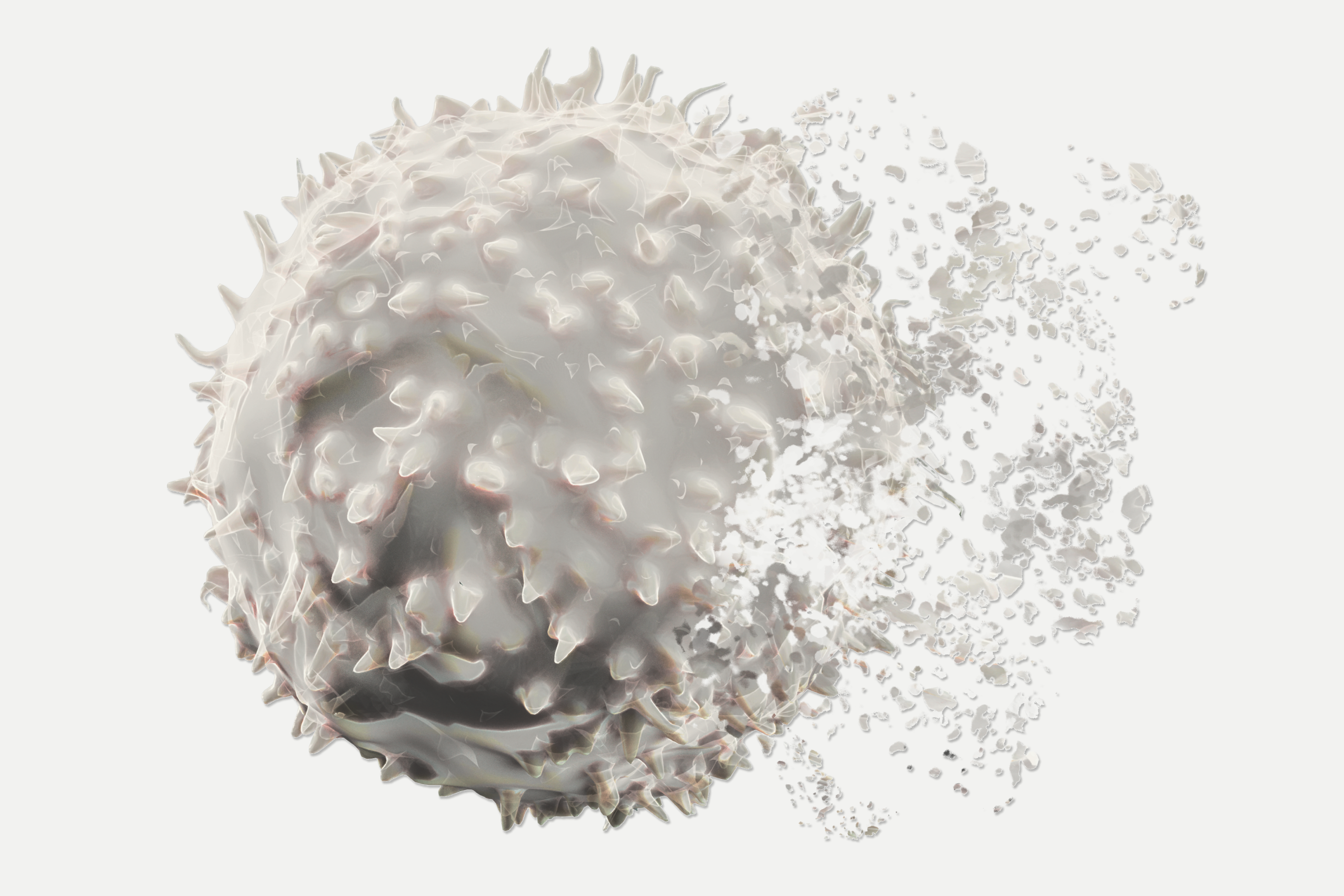 Dissolving T-Cell. Immunosenescence