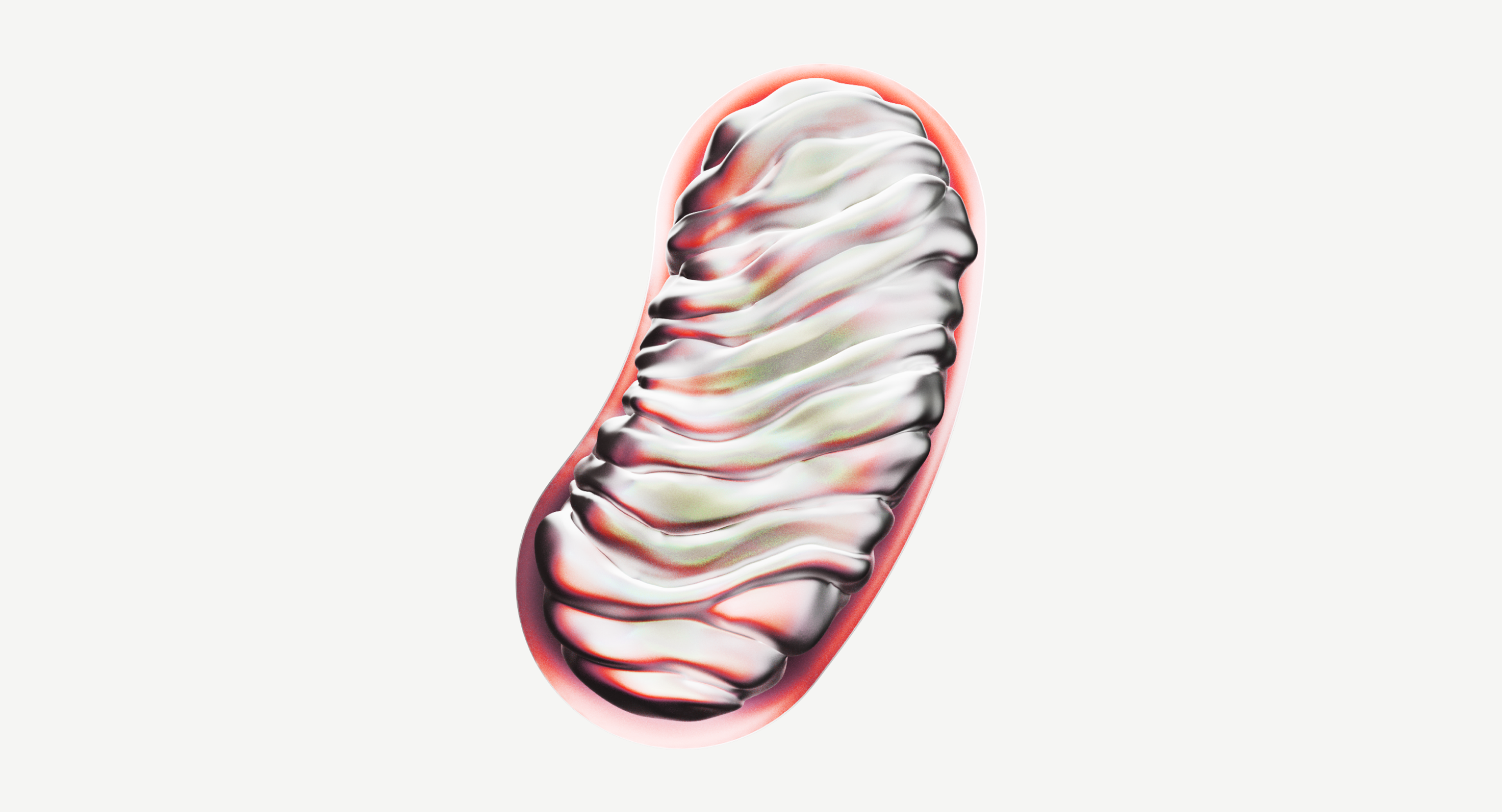 The tiny-but-mighty mitochondria