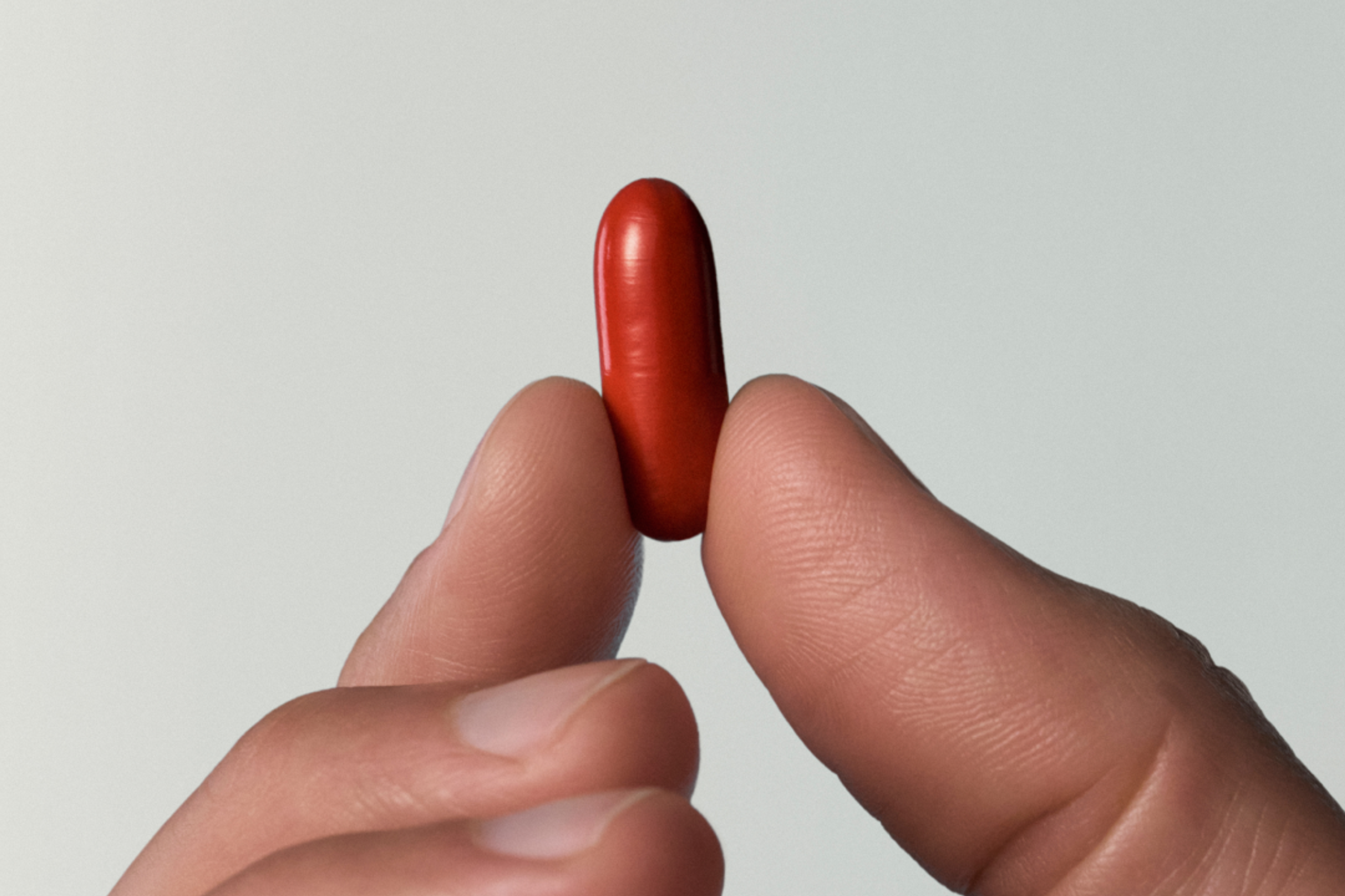 supplement