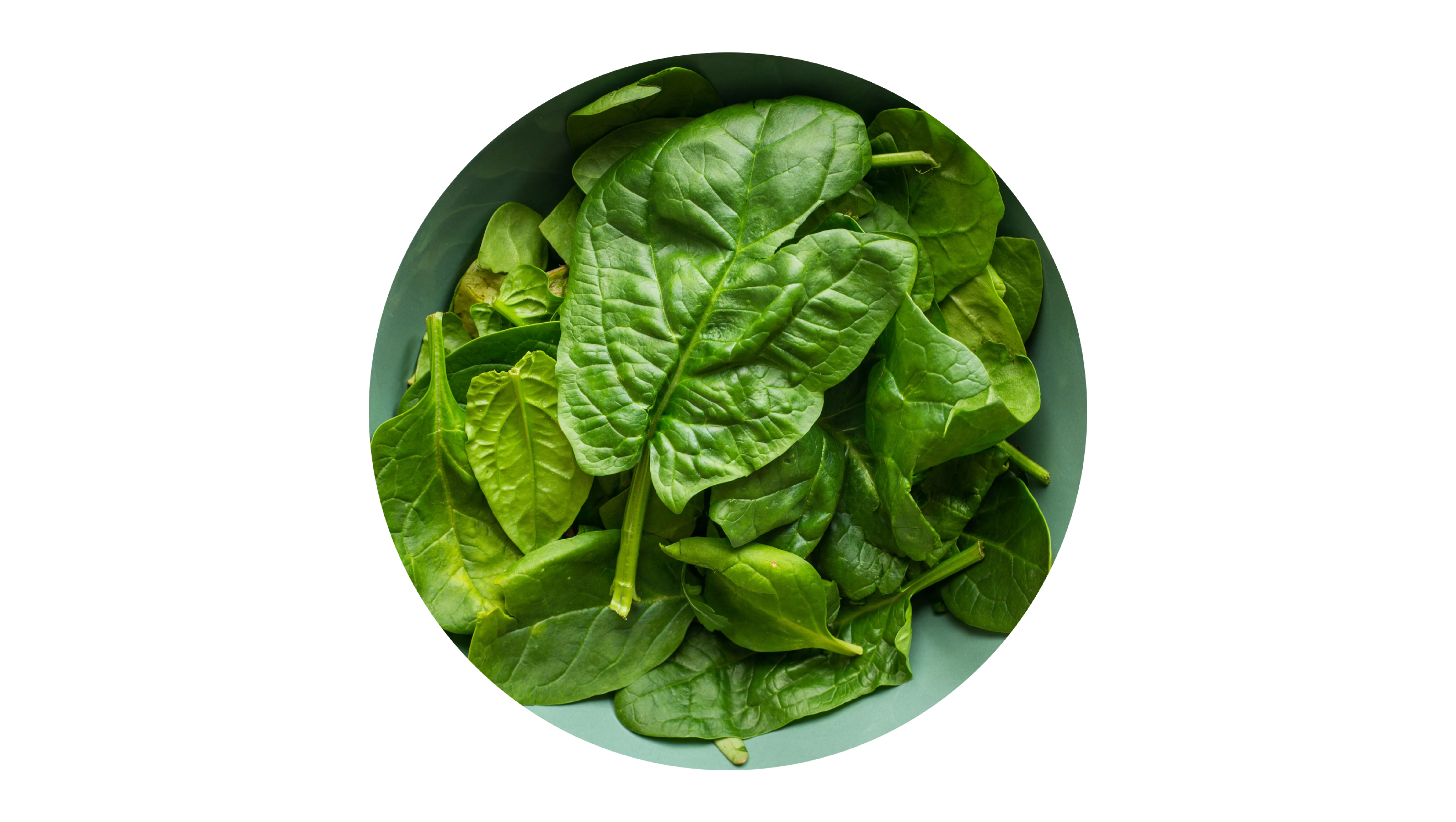 Spinach bowl