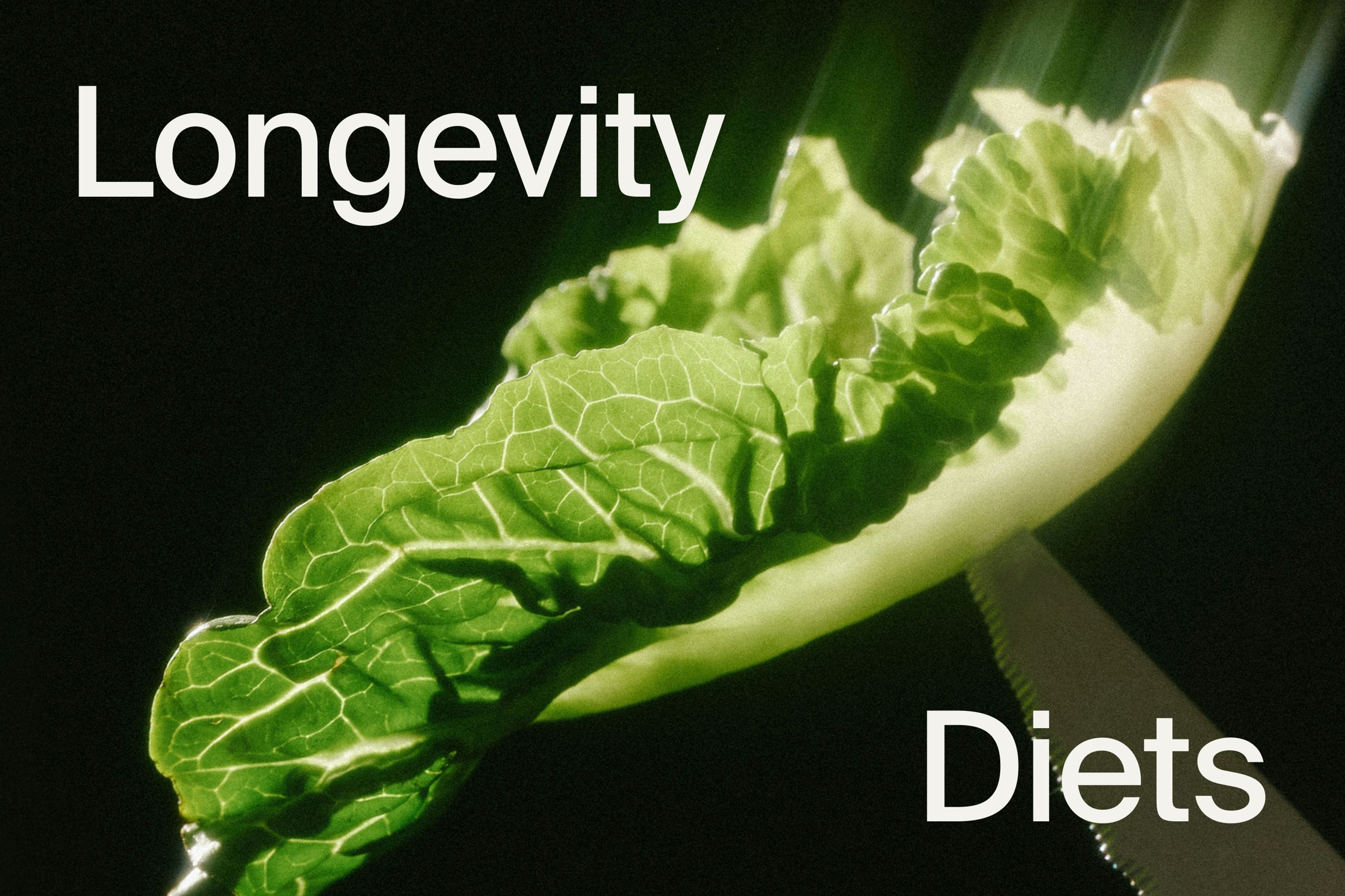 Longevity Diets