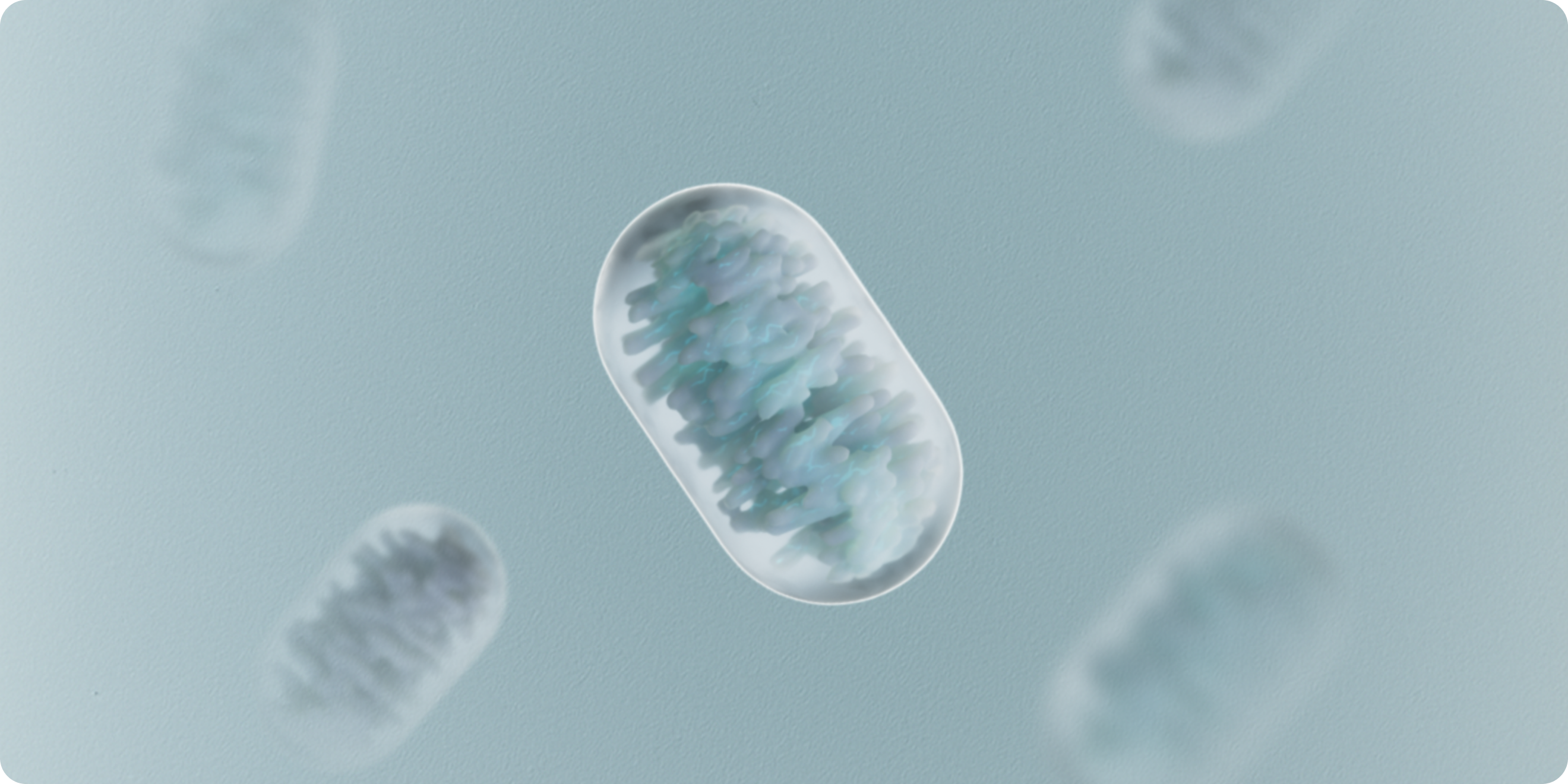 urolithin A, mitochondria