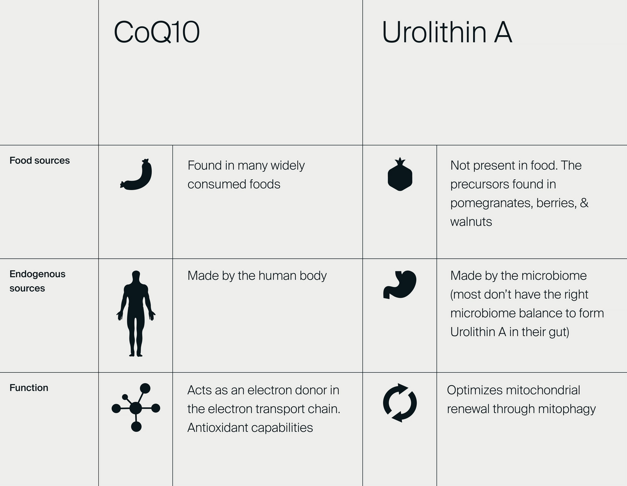 Does CoQ10 Really Give You Energy Timeline Nutrition does-coq10-really-give-you-energy-timeline-nutrition