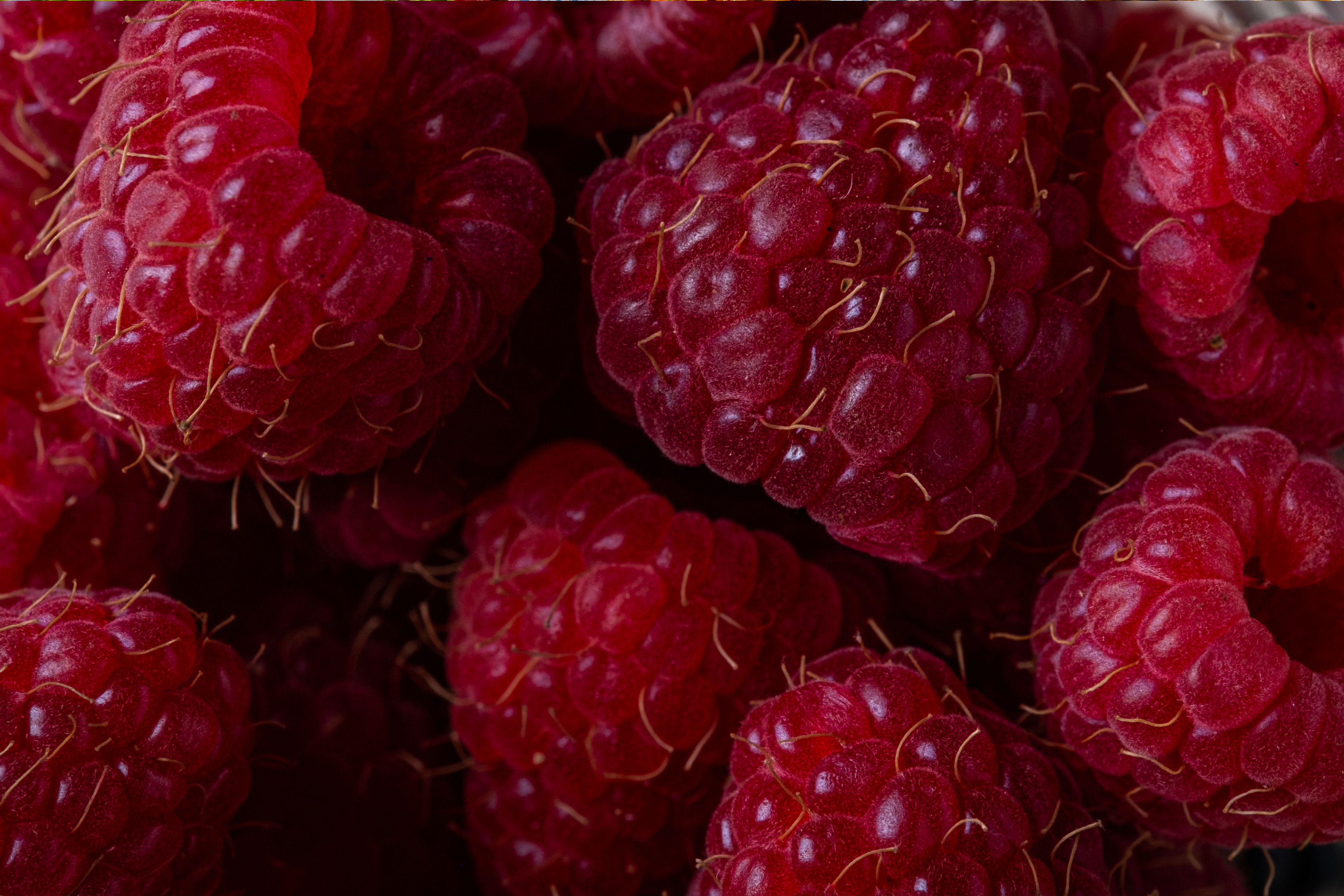Raspberries