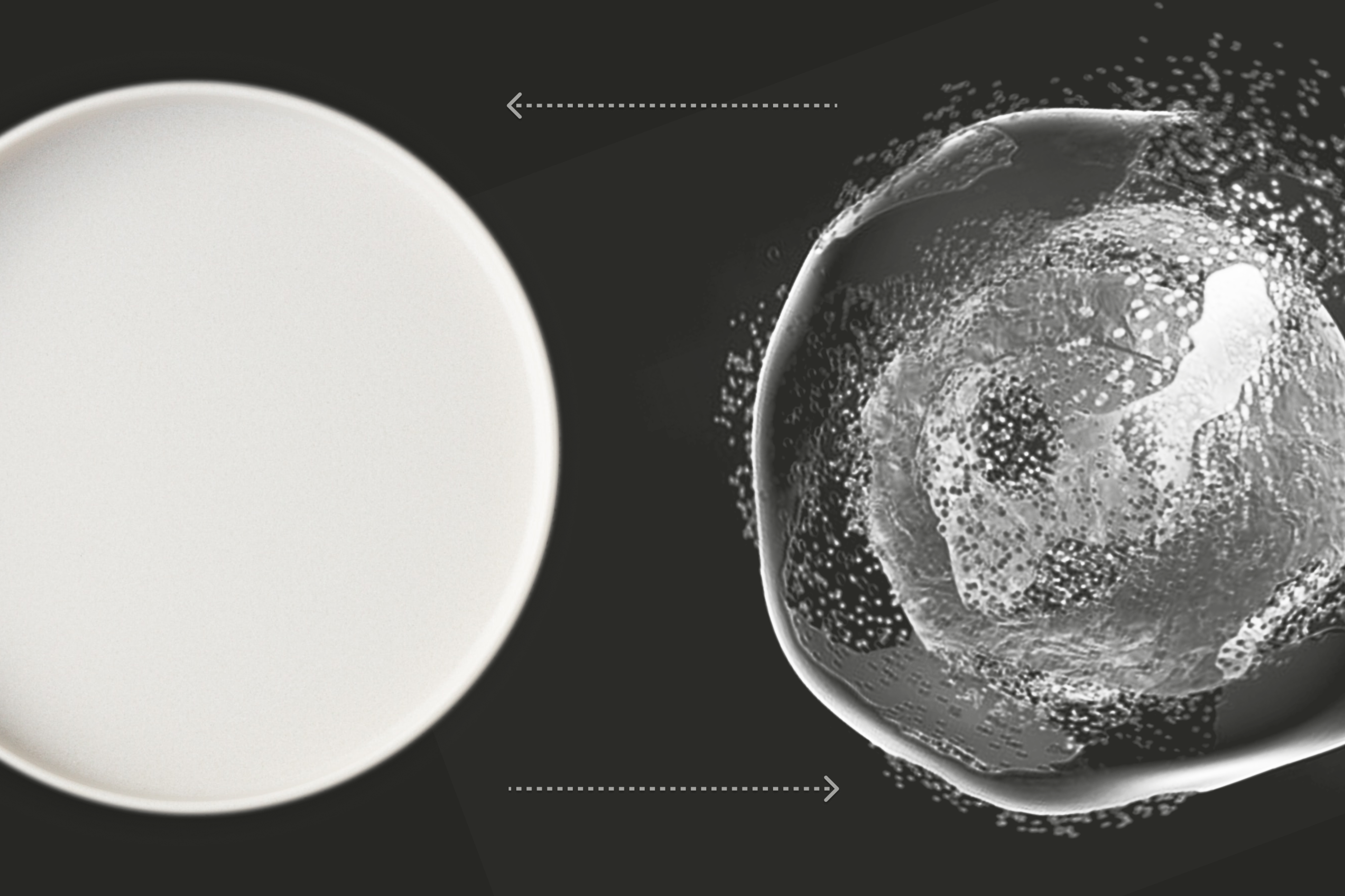 Empty plate and autophagy
