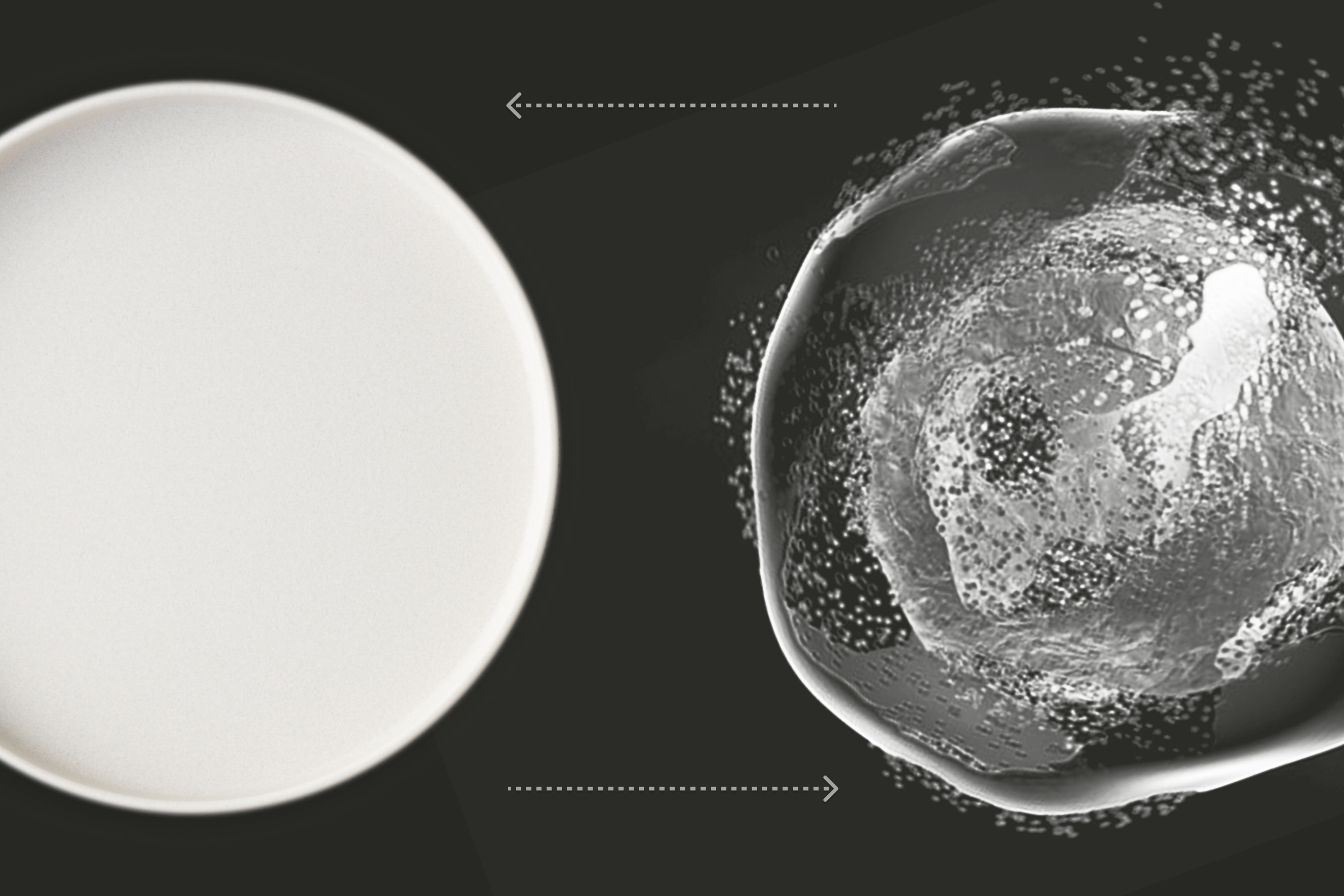 Empty plate and autophagy